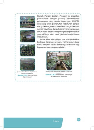 Prakarya
113
(Sumber: Dinas Pertanian dan Ketahanan Pangan Kota
Sukabumi)
Gambar 3.29.b Pemanfaatan pekarangan
di daerah Kota Sukabumi
	
  
Rumah Pangan Lestari. Program ini digulirkan
pemerintah dengan prinsip pemanfaatan
pekarangan yang ramah lingkungan. M-KRPL
dirancang untuk pemenuhan kebutuhan pangan
dan gizi keluarga serta diversifikasi pangan berbasis
sumber daya lokal dan pelestarian tanaman pangan
untuk masa depan serta peningkatan pendapatan
yang akhirnya akan meningkatkan kesejahteraan
masyarakat.
Kamu telah mempelajari dan mempraktikkan
budidaya tanaman sayuran. Hal tersebut dapat
kamu terapkan secara berkelanjutan baik di ling-
kungan rumah maupun sekolah.
(Sumber: Dinas Pertanian dan Ketahanan
Pangan Kota Sukabumi)
Gambar 3.29.a Warung hidup
di pekarangan
 