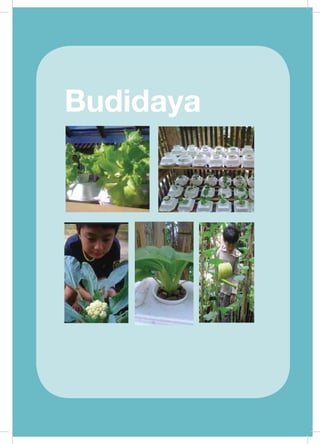 Prakarya
75
Prakarya
75
Budidaya
 