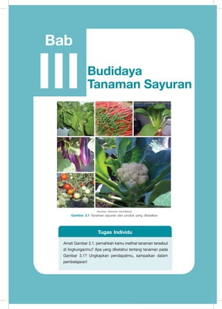 Prakarya
77
Bab
Budidaya
Tanaman SayuranIII
(Sumber: Dokumen Kemdikbud)
Gambar 3.1 Tanaman sayuran dan produk yang dihasilkan
	
  
Amati Gambar 3.1, pernahkah kamu melihat tanaman tersebut
di lingkunganmu? Apa yang diketahui tentang tanaman pada
Gambar 3.1? Ungkapkan pendapatmu, sampaikan dalam
pembelajaran!
Tugas Individu
 