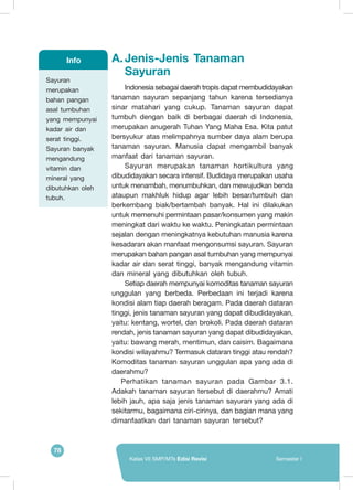 78
Kelas VII SMP/MTs Edisi Revisi Semester I
A.	Jenis-Jenis Tanaman
Sayuran
	 Indonesia sebagai daerah tropis dapat membudidayakan
tanaman sayuran sepanjang tahun karena tersedianya
sinar matahari yang cukup. Tanaman sayuran dapat
tumbuh dengan baik di berbagai daerah di Indonesia,
merupakan anugerah Tuhan Yang Maha Esa. Kita patut
bersyukur atas melimpahnya sumber daya alam berupa
tanaman sayuran. Manusia dapat mengambil banyak
manfaat dari tanaman sayuran.
	Sayuran merupakan tanaman hortikultura yang
dibudidayakan secara intensif. Budidaya merupakan usaha
untuk menambah, menumbuhkan, dan mewujudkan benda
ataupun makhluk hidup agar lebih besar/tumbuh dan
berkembang biak/bertambah banyak. Hal ini dilakukan
untuk memenuhi permintaan pasar/konsumen yang makin
meningkat dari waktu ke waktu. Peningkatan permintaan
sejalan dengan meningkatnya kebutuhan manusia karena
kesadaran akan manfaat mengonsumsi sayuran. Sayuran
merupakan bahan pangan asal tumbuhan yang mempunyai
kadar air dan serat tinggi, banyak mengandung vitamin
dan mineral yang dibutuhkan oleh tubuh.
	 Setiap daerah mempunyai komoditas tanaman sayuran
unggulan yang berbeda. Perbedaan ini terjadi karena
kondisi alam tiap daerah beragam. Pada daerah dataran
tinggi, jenis tanaman sayuran yang dapat dibudidayakan,
yaitu: kentang, wortel, dan brokoli. Pada daerah dataran
rendah, jenis tanaman sayuran yang dapat dibudidayakan,
yaitu: bawang merah, mentimun, dan caisim. Bagaimana
kondisi wilayahmu? Termasuk dataran tinggi atau rendah?
Komoditas tanaman sayuran unggulan apa yang ada di
daerahmu?
Perhatikan tanaman sayuran pada Gambar 3.1.
Adakah tanaman sayuran tersebut di daerahmu? Amati
lebih jauh, apa saja jenis tanaman sayuran yang ada di
sekitarmu, bagaimana ciri-cirinya, dan bagian mana yang
dimanfaatkan dari tanaman sayuran tersebut?
Sayuran
merupakan
bahan pangan
asal tumbuhan
yang mempunyai
kadar air dan
serat tinggi.
Sayuran banyak
mengandung
vitamin dan
mineral yang
dibutuhkan oleh
tubuh.
Info
 