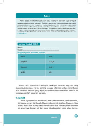 Prakarya
81
Kamu dapat melihat ternyata dari satu kelompok sayuran saja terdapat
beberapa jenis produk sayuran. Setelah mengamati dan menuliskan berbagai
jenis tanaman sayuran, sekarang kelompokkan sayuran tersebut berdasarkan
bagian yang dimakan atau dimanfaatkan. Tambahkan contoh jenis sayuran lain
berdasarkan pengetahuan yang kamu miliki! Tuliskan hasil pengelompokanmu.
(Lihat LK-2)
Tugas
Lembar Kerja 2 (LK-2)
Nama:......................................................................
Kelas:.......................................................................
Pengelompokan Tanaman Sayuran
daun: akar:
tangkai: bunga:
batang: buah:
umbi: biji:
	Kamu perlu memahami berbagai deskripsi tanaman sayuran yang
akan dibudidayakan. Hal ini penting sebagai informasi untuk menentukan
jenis tanaman sayuran yang tepat dibudidayakan di wilayahmu. Berikut ini
beberapa contoh tanaman sayuran.
1.	Tomat
Tomat (Lycopersicon esculentum) merupakan tanaman perdu semusim,
berbatang lemah, dan basah. Daunnya berbentuk segitiga. Buahnya hijau
waktu muda dan kuning atau merah waktu tua. Perbanyakan tanaman
ini umumnya dengan biji dan biasa dibudidayakan pada lahan kering.
 