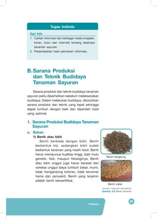 Prakarya
83
B.	Sarana Produksi
dan Teknik Budidaya
Tanaman Sayuran
	 Sarana produksi dan teknik budidaya tanaman
sayuran perlu diperhatikan sebelum melaksanakan
budidaya. Dalam melakukan budidaya, dibutuhkan
sarana produksi dan teknik yang tepat sehingga
dapat tumbuh dengan baik dan diperoleh hasil
yang optimal.
1.	 Sarana Produksi Budidaya Tanaman
Sayuran
a.	 Bahan
1)	Benih atau bibit
Benih berbeda dengan bibit. Benih
berbentuk biji, sedangkan bibit sudah
berbentuk tanaman yang masih kecil. Benih
harus mempunyai kualitas tinggi, baik mutu
genetik, fisik, maupun fisiologinya. Benih
atau bibit unggul juga harus berasal dari
varietas unggul (daya tumbuh besar, murni,
tidak mengandung kotoran, tidak tercemar
hama dan penyakit). Benih yang terjamin
adalah benih bersertifikat.
(Sumber: Dokumen Kemdikbud)
Gambar 3.6 Benih tanaman
Benih kangkung
Benih cabai
Cari Info
1.	 Carilah informasi dari berbagai media (majalah,
koran, buku dan internet) tentang deskripsi
tanaman sayuran.
2.	 Presentasikan hasil pencarian informasi.
Tugas Individu
 