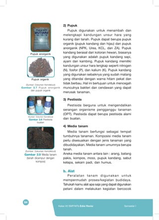 84
Kelas VII SMP/MTs Edisi Revisi Semester I
2)	 Pupuk
Pupuk digunakan untuk menambah dan
melengkapi kandungan unsur hara yang
kurang dari tanah. Pupuk dapat berupa pupuk
organik (pupuk kandang dan hijau) dan pupuk
anorganik (NPK, Urea, KCL, dan ZA). Pupuk
kandang berasal dari kotoran hewan, biasanya
yang digunakan adalah pupuk kandang sapi,
ayam dan kambing. Pupuk kandang memiliki
kandungan unsur hara lengkap seperti nitrogen
(N), fosfor (P), dan kalium (K). Pupuk kandang
yang digunakan sebaiknya yang sudah matang
yang ditandai dengan warna hitam pekat dan
tidak berbau. Hal ini bertujuan untuk mencegah
munculnya bakteri dan cendawan yang dapat
merusak tanaman.
3)	Pestisida
Pestisida berguna untuk mengendalikan
serangan organisme pengganggu tanaman
(OPT). Pestisida dapat berupa pestisida alami
dan buatan.
4)	Media tanam
Media tanam berfungsi sebagai tempat
tumbuhnya tanaman. Komposisi media tanam
perlu disesuaikan dengan jenis tanaman yang
dibudidayakan. Media tanam umumnya berupa
tanah.
Aneka media tanam antara lain : arang, batang
pakis, kompos, moss, pupuk kandang, sabut
kelapa, sekam padi, dan humus.
b. Alat
Peralatan tanam digunakan untuk
mempermudah proses/kegiatan budidaya.
Tahukah kamu alat apa saja yang dapat digunakan
petani dalam melakukan kegiatan bercocok
Pupuk anorganik
Pupuk organik
(Sumber: Dokumen Kemdikbud)
Gambar 3.7 Pupuk anorganik
dan pupuk organik
(Sumber: Dokumen Kemdikbud)
Gambar 3.8 Pestisida
buatan
	
  (Sumber: Dokumen Kemdikbud)
Gambar 3.9 Media tanam
(tanah dicampur dengan
kompos)
 