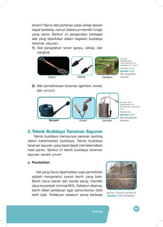 Prakarya
85
tanam? Nama alat pertanian pada setiap daerah
dapat berbeda, namun biasanya memiliki fungsi
yang sama. Berikut ini pengenalan berbagai
alat yang diperlukan dalam kegiatan budidaya
tanaman sayuran.
1)	 Alat pengolahan tanah (garpu, sekop, dan
cangkul)
2)	 Alat pemeliharaan tanaman (gembor, kored,
dan sprayer)
2.	Teknik Budidaya Tanaman Sayuran
	Teknik budidaya mempunyai peranan penting
dalam keberhasilan budidaya. Teknik budidaya
tanaman sayuran yang tepat dapat memaksimalkan
hasil panen. Berikut ini teknik budidaya tanaman
sayuran secara umum.
a.	 	Pembibitan
Hal yang harus diperhatikan saat pembibitan
adalah mengetahui syarat benih yang baik.
Benih harus bersih dari benda asing, memiliki
daya kecambah minimal 80%. Sebelum disemai,
benih diberi perlakuan agar pertumbuhan bibit
lebih baik. Perlakuan sebelum semai berbeda
GemborKoredSprayer
(Sumber: www.
antakowisena.com,
www.keineron.wordpress.
com,
wikipedia.org)
Gambar 3.11
Alat pengolahan
tanaman
(Sumber:
Agrotanisupply.
www.indiamart.com,
wikipedia.com, http://1.
bp.blogspot.com)
Gambar 3.10
Alat pengolahan
tanamanCangkulSekopGarpu
(Sumber: Dokumen Kemdikbud)
Gambar 3.12 Pembibitan
	
  
 