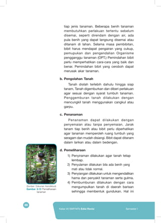 86
Kelas VII SMP/MTs Edisi Revisi Semester I
tiap jenis tanaman. Beberapa benih tanaman
membutuhkan perlakuan tertentu sebelum
disemai, seperti direndam dengan air, ada
pula benih yang dapat langsung disemai atau
ditanam di lahan. Selama masa pembibitan,
bibit harus mendapat pengairan yang cukup,
pemupukan dan pengendalian Organisme
pengganggu tanaman (OPT.) Pemindahan bibit
perlu memperhatikan cara-cara yang baik dan
benar. Pemindahan bibit yang ceroboh dapat
merusak akar tanaman.
b.	Pengolahan Tanah
Tanah diolah terlebih dahulu hingga siap
tanam. Tanah digemburkan dan diberi perlakuan
agar sesuai dengan syarat tumbuh tanaman.
Penggemburan tanah dilakukan dengan
mencungkil tanah menggunakan cangkul atau
garpu.
c.	 Penanaman
Penanaman dapat dilakukan dengan
penyemaian atau tanpa penyemaian. Jarak
tanam tiap benih atau bibit perlu diperhatikan
agar tanaman memperoleh ruang tumbuh yang
seragam dan mudah disiangi. Bibit dapat ditanam
dalam larikan atau dalam bedengan.
d.	Pemeliharaan
1)	Penyiraman dilakukan agar tanah tetap
lembap.
2)	 Penyulaman dilakukan bila ada benih yang
mati atau tidak normal.
3)	 Penyiangan dilakukan untuk mengendalikan
hama dan penyakit tanaman serta gulma.
4)	Pembumbunan dilakukan dengan cara
mengumpulkan tanah di daerah barisan
sehingga membentuk gundukan. Hal ini
(Sumber: Dokumen Kemdikbud)
Gambar 3.13 Pemeliharaan
tanaman
	
  
 