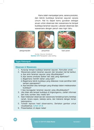 88
Kelas VII SMP/MTs Edisi Revisi Semester I
	 Kamu telah mempelajari jenis, sarana produksi,
dan teknik budidaya tanaman sayuran secara
umum. Hal itu dapat kamu gunakan sebagai
acuan untuk observasi dan wawancara ke tempat
budidaya tanaman sayuran. Lakukan observasi dan
wawancara dengan penuh rasa ingin tahu.
(Sumber: Dokumen Kemdikbud)
Gambar 3.15 Pascapanen cabai keriting
pengumpulan penyortiran 	 	 hasil panen
	
   	
   	
  
Observasi & Wawancara
1.	 Kunjungi tempat budidaya tanaman sayuran. Kemudian amati.
2.	 Wawancara petani tanaman sayuran dan tanyakan hal-hal berikut.
a.	Apa jenis tanaman sayuran yang dibudidayakan?
b.	Apa sarana produksi (bahan dan alat) yang diperlukan?
c.	Bagaimana memilih bahan yang baik?
d.	Bagaimana teknik budidaya yang dilakukan mulai pemilihan bibit
sampai pascapanen?
e.	Apa kesulitan atau tantangan yang dihadapi dalam melaksanakan
budidaya?
f.	Apa keunggulan tanaman sayuran yang dibudidayakan?
3.	 Jika tidak ada tempat budidaya di lingkunganmu, carilah informasi
dari buku sumber atau media lain!
4.	 Saat melakukan observasi dan wawancara hendaknya kamu bersikap
ramah, bicara sopan, bekerja sama, dan toleransi dengan teman
kelompokmu.
5.	 Tulislah laporan hasil observasimu. Sertakan gambar untuk
visualisasinya. (Lihat LK-3)
6.	 Presentasikan di depan kelas!
Tugas Kelompok
 