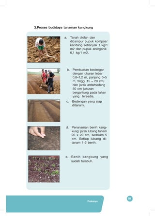 Prakarya
91
3.	Proses budidaya tanaman kangkung
	
   e.	 Benih kangkung yang
sudah tumbuh.
a.	 Tanah diolah dan
dicampur pupuk kompos/
kandang sebanyak 1 kg/1
m2 dan pupuk anorganik
0,1 kg/1 m2.
	
  
	
  
	
  
	
   b.	 Pembuatan bedengan
dengan ukuran lebar
0,8–1,2 m, panjang 3–5
m, tinggi 15 – 20 cm,
dan jarak antarbedeng
50 cm (ukuran
bergantung pada lahan
yang tersedia.
c.	 Bedengan yang siap
ditanami.
d.	 Penanaman benih kang-
kung: jarak lubang tanam
20 x 20 cm, sedalam 5
cm. Setiap lubang di-
tanam 1-2 benih.
 