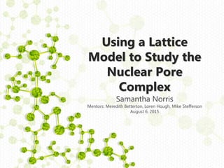 Using a Lattice
Model to Study the
Nuclear Pore
Complex
Samantha Norris
Mentors: Meredith Betterton, Loren Hough, Mike Stefferson
August 6, 2015
 