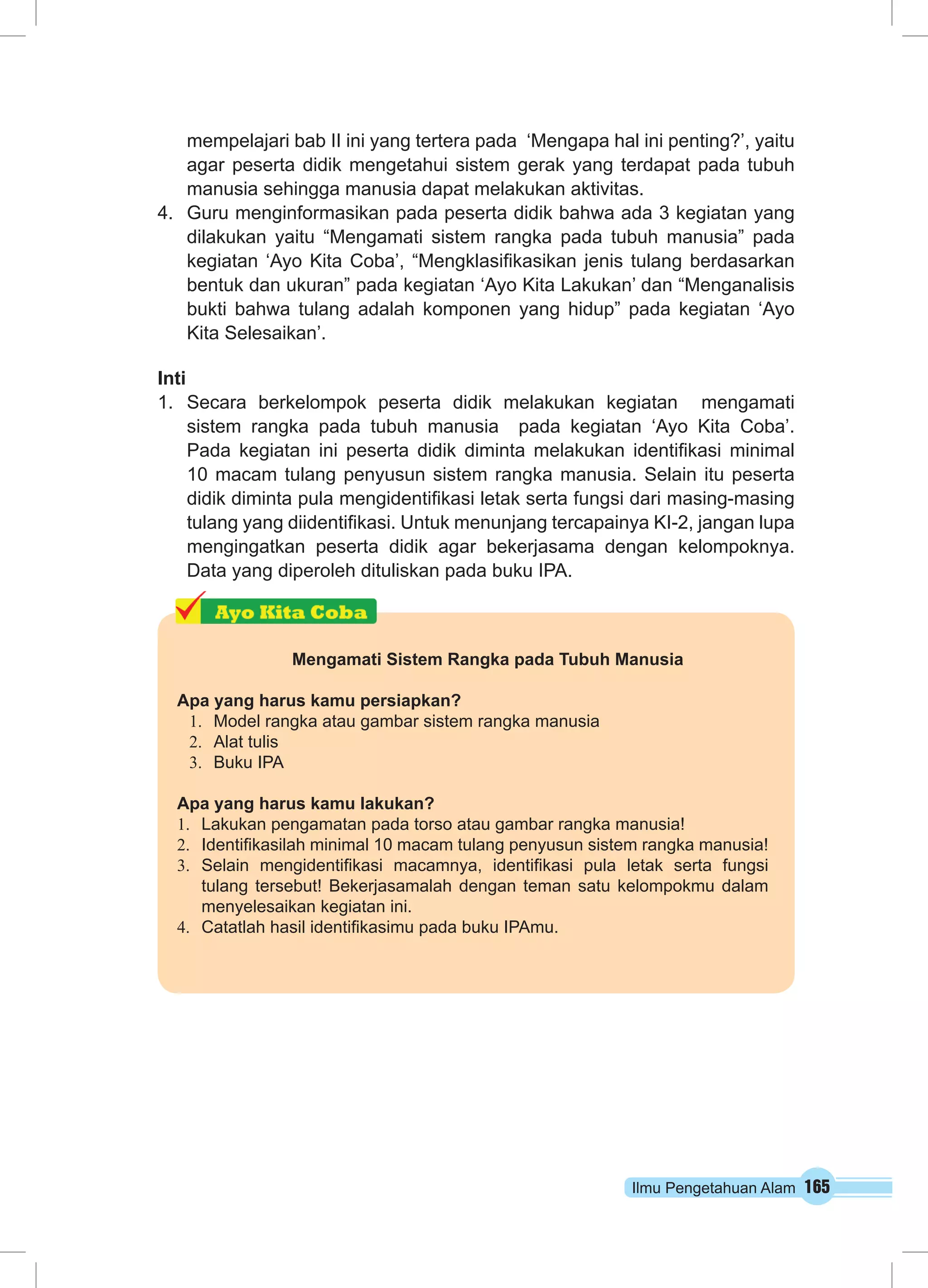 Ilmu Pengetahuan Alam 165
Mengamati Sistem Rangka pada Tubuh Manusia
Apa yang harus kamu persiapkan?
1.	 Model rangka atau gambar sistem rangka manusia
2.	 Alat tulis
3.	 Buku IPA
Apa yang harus kamu lakukan?
1.	 Lakukan pengamatan pada torso atau gambar rangka manusia!
2.	 Identifikasilah minimal 10 macam tulang penyusun sistem rangka manusia!
3.	 Selain mengidentifikasi macamnya, identifikasi pula letak serta fungsi
tulang tersebut! Bekerjasamalah dengan teman satu kelompokmu dalam
menyelesaikan kegiatan ini.
4.	 Catatlah hasil identifikasimu pada buku IPAmu.
mempelajari bab II ini yang tertera pada ‘Mengapa hal ini penting?’, yaitu
agar peserta didik mengetahui sistem gerak yang terdapat pada tubuh
manusia sehingga manusia dapat melakukan aktivitas.
4.	 Guru menginformasikan pada peserta didik bahwa ada 3 kegiatan yang
dilakukan yaitu “Mengamati sistem rangka pada tubuh manusia” pada
kegiatan ‘Ayo Kita Coba’, “Mengklasifikasikan jenis tulang berdasarkan
bentuk dan ukuran” pada kegiatan ‘Ayo Kita Lakukan’ dan “Menganalisis
bukti bahwa tulang adalah komponen yang hidup” pada kegiatan ‘Ayo
Kita Selesaikan’.
Inti
1.	 Secara berkelompok peserta didik melakukan kegiatan mengamati
sistem rangka pada tubuh manusia pada kegiatan ‘Ayo Kita Coba’.
Pada kegiatan ini peserta didik diminta melakukan identifikasi minimal
10 macam tulang penyusun sistem rangka manusia. Selain itu peserta
didik diminta pula mengidentifikasi letak serta fungsi dari masing-masing
tulang yang diidentifikasi. Untuk menunjang tercapainya KI-2, jangan lupa
mengingatkan peserta didik agar bekerjasama dengan kelompoknya.
Data yang diperoleh dituliskan pada buku IPA.
 