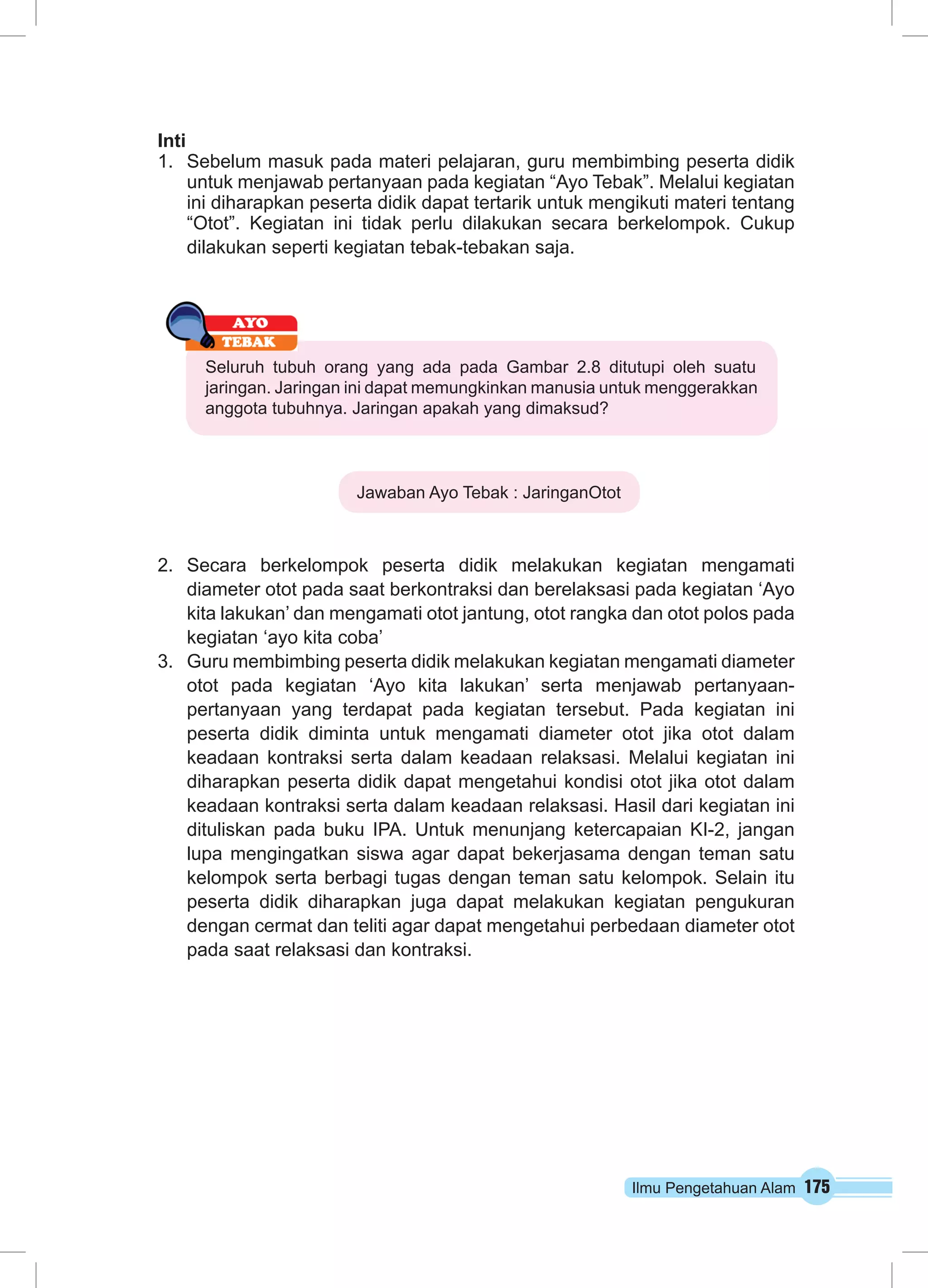 Ilmu Pengetahuan Alam 175
Inti
1.	 Sebelum masuk pada materi pelajaran, guru membimbing peserta didik
untuk menjawab pertanyaan pada kegiatan “Ayo Tebak”. Melalui kegiatan
ini diharapkan peserta didik dapat tertarik untuk mengikuti materi tentang
“Otot”. Kegiatan ini tidak perlu dilakukan secara berkelompok. Cukup
dilakukan seperti kegiatan tebak-tebakan saja.
2.	 Secara berkelompok peserta didik melakukan kegiatan mengamati
diameter otot pada saat berkontraksi dan berelaksasi pada kegiatan ‘Ayo
kita lakukan’ dan mengamati otot jantung, otot rangka dan otot polos pada
kegiatan ‘ayo kita coba’
3.	 Guru membimbing peserta didik melakukan kegiatan mengamati diameter
otot pada kegiatan ‘Ayo kita lakukan’ serta menjawab pertanyaan-
pertanyaan yang terdapat pada kegiatan tersebut. Pada kegiatan ini
peserta didik diminta untuk mengamati diameter otot jika otot dalam
keadaan kontraksi serta dalam keadaan relaksasi. Melalui kegiatan ini
diharapkan peserta didik dapat mengetahui kondisi otot jika otot dalam
keadaan kontraksi serta dalam keadaan relaksasi. Hasil dari kegiatan ini
dituliskan pada buku IPA. Untuk menunjang ketercapaian KI-2, jangan
lupa mengingatkan siswa agar dapat bekerjasama dengan teman satu
kelompok serta berbagi tugas dengan teman satu kelompok. Selain itu
peserta didik diharapkan juga dapat melakukan kegiatan pengukuran
dengan cermat dan teliti agar dapat mengetahui perbedaan diameter otot
pada saat relaksasi dan kontraksi.
Seluruh tubuh orang yang ada pada Gambar 2.8 ditutupi oleh suatu
jaringan. Jaringan ini dapat memungkinkan manusia untuk menggerakkan
anggota tubuhnya. Jaringan apakah yang dimaksud?
Jawaban Ayo Tebak : JaringanOtot
 