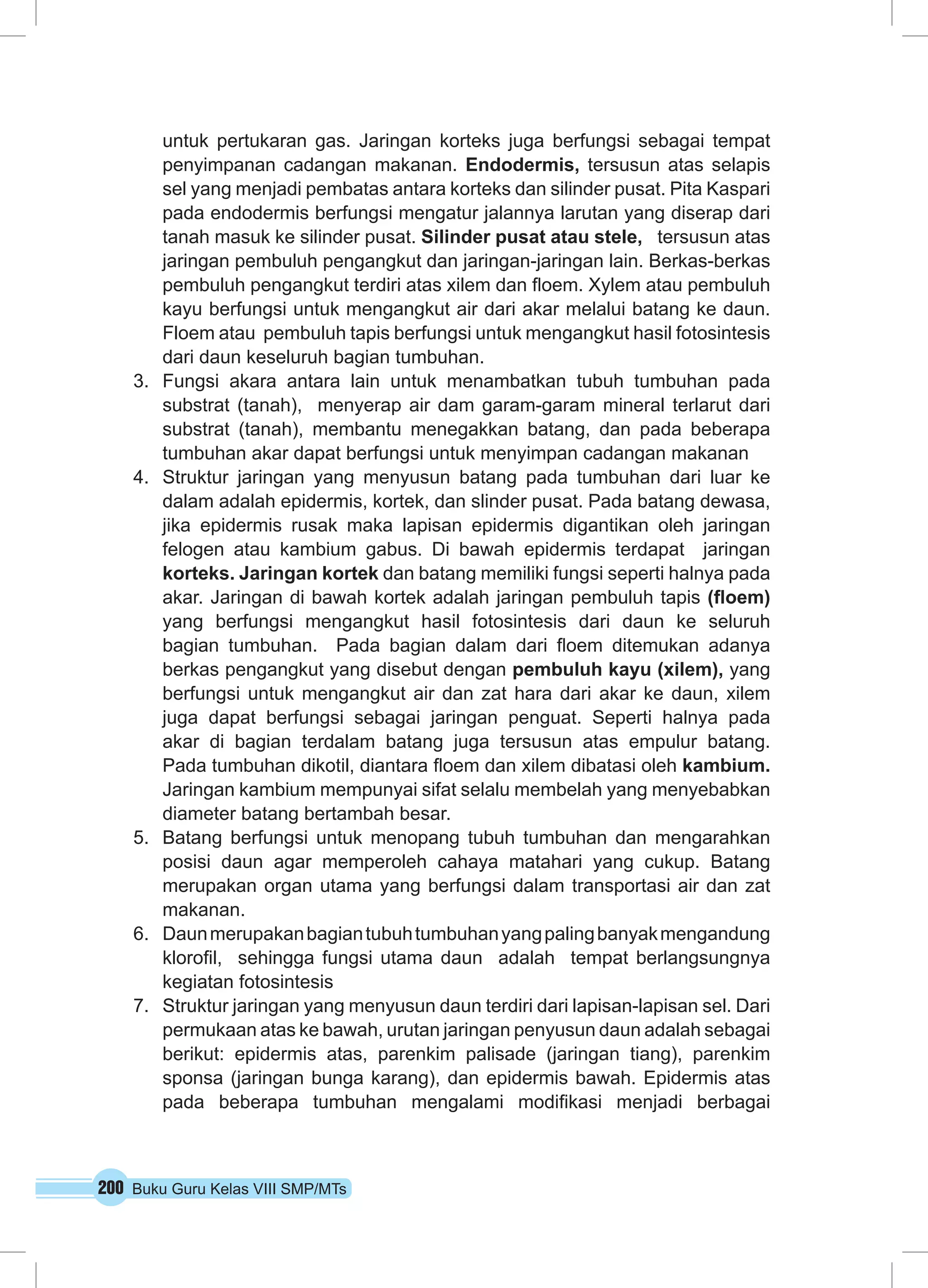 200 Buku Guru Kelas VIII SMP/MTs
untuk pertukaran gas. Jaringan korteks juga berfungsi sebagai tempat
penyimpanan cadangan makanan. Endodermis, tersusun atas selapis
sel yang menjadi pembatas antara korteks dan silinder pusat. Pita Kaspari
pada endodermis berfungsi mengatur jalannya larutan yang diserap dari
tanah masuk ke silinder pusat. Silinder pusat atau stele, tersusun atas
jaringan pembuluh pengangkut dan jaringan-jaringan lain. Berkas-berkas
pembuluh pengangkut terdiri atas xilem dan floem. Xylem atau pembuluh
kayu berfungsi untuk mengangkut air dari akar melalui batang ke daun.
Floem atau pembuluh tapis berfungsi untuk mengangkut hasil fotosintesis
dari daun keseluruh bagian tumbuhan.
3.	 Fungsi akara antara lain untuk menambatkan tubuh tumbuhan pada
substrat (tanah), menyerap air dam garam-garam mineral terlarut dari
substrat (tanah), membantu menegakkan batang, dan pada beberapa
tumbuhan akar dapat berfungsi untuk menyimpan cadangan makanan
4.	 Struktur jaringan yang menyusun batang pada tumbuhan dari luar ke
dalam adalah epidermis, kortek, dan slinder pusat. Pada batang dewasa,
jika epidermis rusak maka lapisan epidermis digantikan oleh jaringan
felogen atau kambium gabus. Di bawah epidermis terdapat jaringan
korteks. Jaringan kortek dan batang memiliki fungsi seperti halnya pada
akar. Jaringan di bawah kortek adalah jaringan pembuluh tapis (floem)
yang berfungsi mengangkut hasil fotosintesis dari daun ke seluruh
bagian tumbuhan. Pada bagian dalam dari floem ditemukan adanya
berkas pengangkut yang disebut dengan pembuluh kayu (xilem), yang
berfungsi untuk mengangkut air dan zat hara dari akar ke daun, xilem
juga dapat berfungsi sebagai jaringan penguat. Seperti halnya pada
akar di bagian terdalam batang juga tersusun atas empulur batang.
Pada tumbuhan dikotil, diantara floem dan xilem dibatasi oleh kambium.
Jaringan kambium mempunyai sifat selalu membelah yang menyebabkan
diameter batang bertambah besar.
5.	 Batang berfungsi untuk menopang tubuh tumbuhan dan mengarahkan
posisi daun agar memperoleh cahaya matahari yang cukup. Batang
merupakan organ utama yang berfungsi dalam transportasi air dan zat
makanan.
6.	 Daunmerupakanbagiantubuhtumbuhanyangpalingbanyakmengandung
klorofil, sehingga fungsi utama daun adalah tempat berlangsungnya
kegiatan fotosintesis
7.	 Struktur jaringan yang menyusun daun terdiri dari lapisan-lapisan sel. Dari
permukaan atas ke bawah, urutan jaringan penyusun daun adalah sebagai
berikut: epidermis atas, parenkim palisade (jaringan tiang), parenkim
sponsa (jaringan bunga karang), dan epidermis bawah. Epidermis atas
pada beberapa tumbuhan mengalami modifikasi menjadi berbagai
 