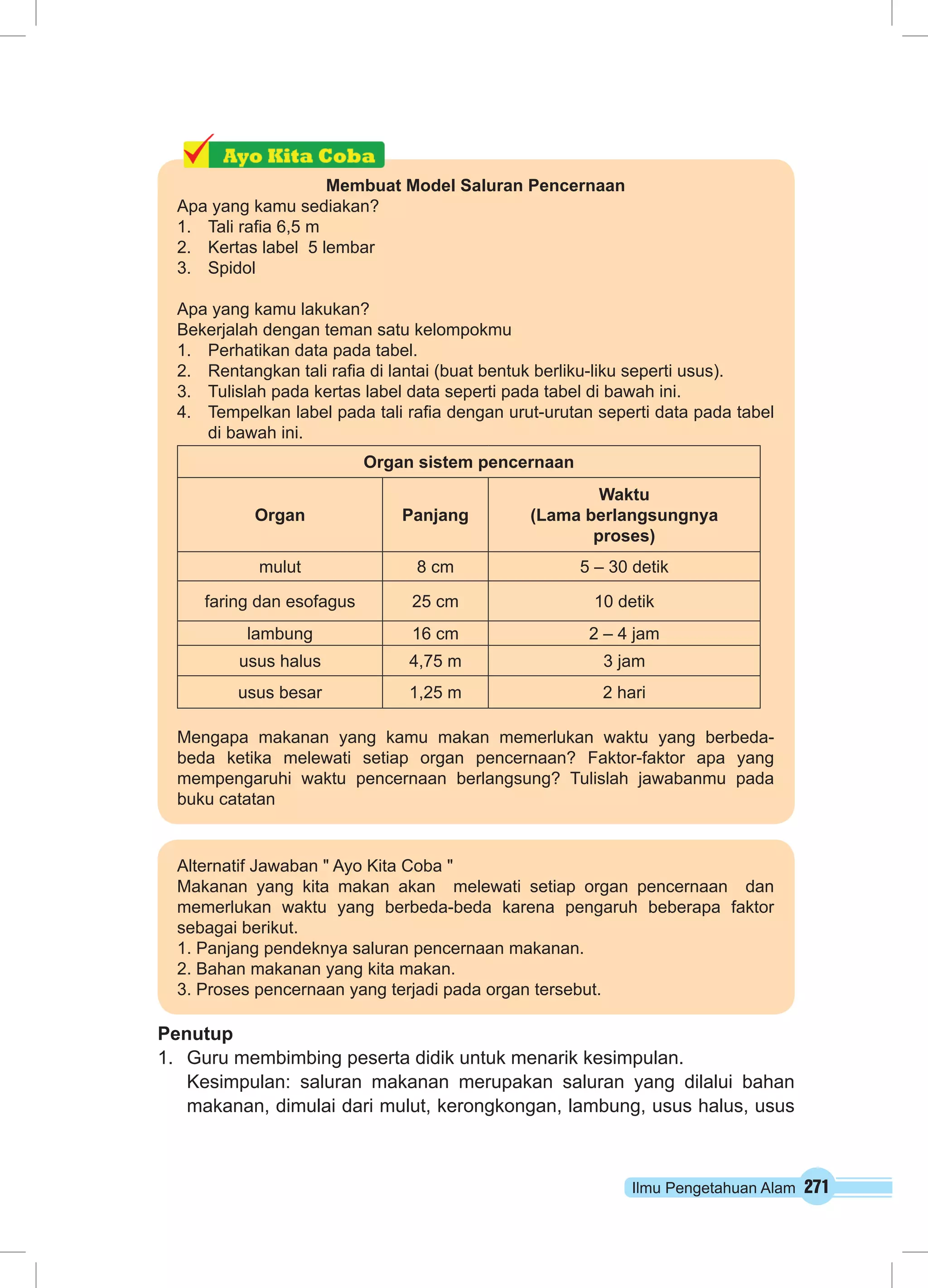 Ilmu Pengetahuan Alam 271
Membuat Model Saluran Pencernaan
Apa yang kamu sediakan?
1.	 Tali rafia 6,5 m
2.	 Kertas label 5 lembar
3.	 Spidol
Apa yang kamu lakukan?
Bekerjalah dengan teman satu kelompokmu
1.	 Perhatikan data pada tabel.
2.	 Rentangkan tali rafia di lantai (buat bentuk berliku-liku seperti usus).
3.	 Tulislah pada kertas label data seperti pada tabel di bawah ini.
4.	 Tempelkan label pada tali rafia dengan urut-urutan seperti data pada tabel
di bawah ini.
Organ sistem pencernaan
Organ Panjang
Waktu
(Lama berlangsungnya
proses)
mulut 8 cm 5 – 30 detik
faring dan esofagus 25 cm 10 detik
lambung 16 cm 2 – 4 jam
usus halus 4,75 m 3 jam
usus besar 1,25 m 2 hari
Mengapa makanan yang kamu makan memerlukan waktu yang berbeda-
beda ketika melewati setiap organ pencernaan? Faktor-faktor apa yang
mempengaruhi waktu pencernaan berlangsung? Tulislah jawabanmu pada
buku catatan
Alternatif Jawaban " Ayo Kita Coba "
Makanan yang kita makan akan melewati setiap organ pencernaan dan
memerlukan waktu yang berbeda-beda karena pengaruh beberapa faktor
sebagai berikut.
1. Panjang pendeknya saluran pencernaan makanan.
2. Bahan makanan yang kita makan.
3. Proses pencernaan yang terjadi pada organ tersebut.
Penutup
1.	 Guru membimbing peserta didik untuk menarik kesimpulan.
Kesimpulan: saluran makanan merupakan saluran yang dilalui bahan
makanan, dimulai dari mulut, kerongkongan, lambung, usus halus, usus
 