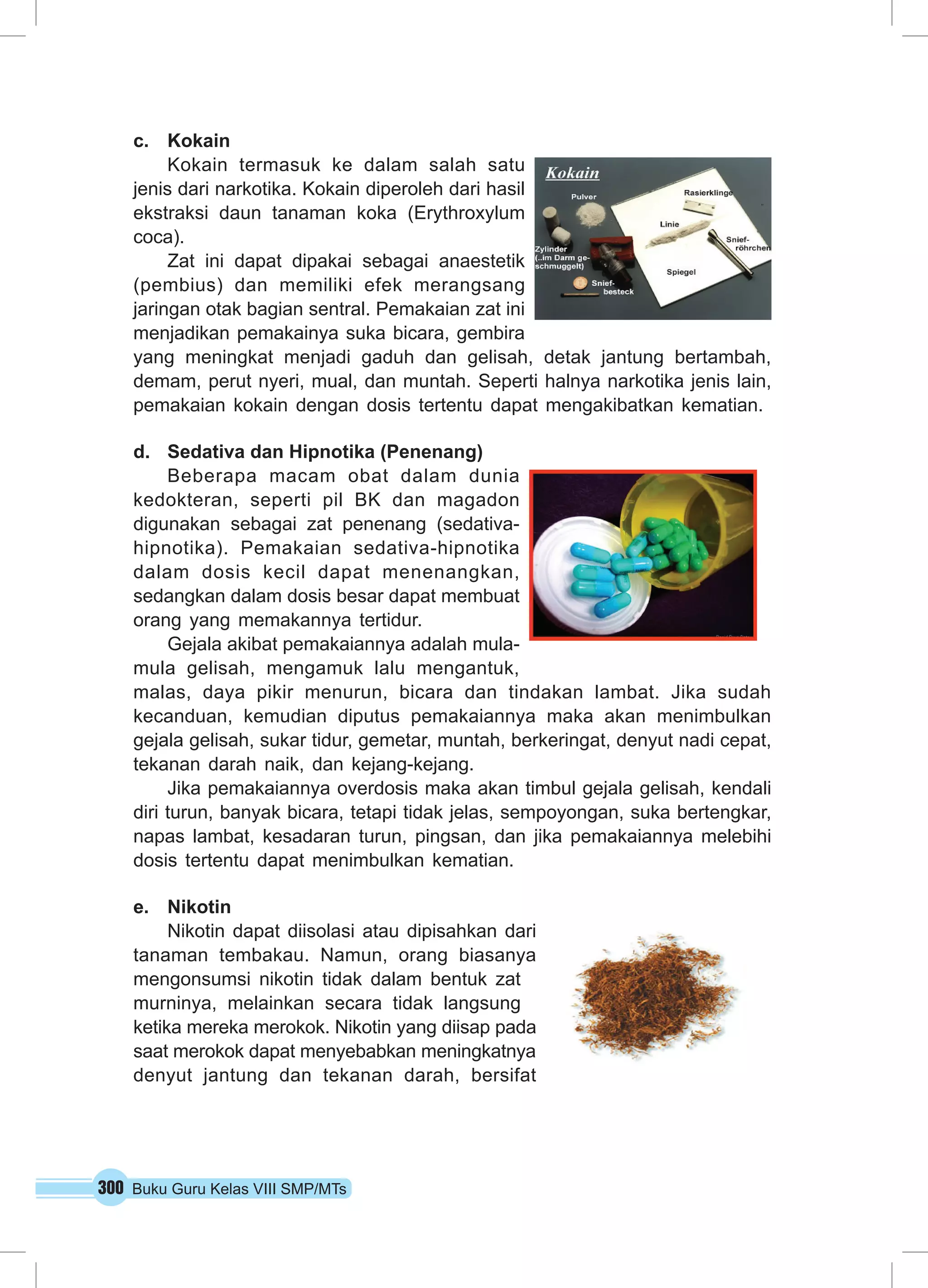 300 Buku Guru Kelas VIII SMP/MTs
c.	 Kokain
Kokain termasuk ke dalam salah satu
jenis dari narkotika. Kokain diperoleh dari hasil
ekstraksi daun tanaman koka (Erythroxylum
coca).
Zat ini dapat dipakai sebagai anaestetik
(pembius) dan memiliki efek merangsang
jaringan otak bagian sentral. Pemakaian zat ini
menjadikan pemakainya suka bicara, gembira
yang meningkat menjadi gaduh dan gelisah, detak jantung bertambah,
demam, perut nyeri, mual, dan muntah. Seperti halnya narkotika jenis lain,
pemakaian kokain dengan dosis tertentu dapat mengakibatkan kematian.
d.	 Sedativa dan Hipnotika (Penenang)
Beberapa macam obat dalam dunia
kedokteran, seperti pil BK dan magadon
digunakan sebagai zat penenang (sedativa-
hipnotika). Pemakaian sedativa-hipnotika
dalam dosis kecil dapat menenangkan,
sedangkan dalam dosis besar dapat membuat
orang yang memakannya tertidur.
Gejala akibat pemakaiannya adalah mula-
mula gelisah, mengamuk lalu mengantuk,
malas, daya pikir menurun, bicara dan tindakan lambat. Jika sudah
kecanduan, kemudian diputus pemakaiannya maka akan menimbulkan
gejala gelisah, sukar tidur, gemetar, muntah, berkeringat, denyut nadi cepat,
tekanan darah naik, dan kejang-kejang.
Jika pemakaiannya overdosis maka akan timbul gejala gelisah, kendali
diri turun, banyak bicara, tetapi tidak jelas, sempoyongan, suka bertengkar,
napas lambat, kesadaran turun, pingsan, dan jika pemakaiannya melebihi
dosis tertentu dapat menimbulkan kematian.
e.	 Nikotin
Nikotin dapat diisolasi atau dipisahkan dari
tanaman tembakau. Namun, orang biasanya
mengonsumsi nikotin tidak dalam bentuk zat
murninya, melainkan secara tidak langsung
ketika mereka merokok. Nikotin yang diisap pada
saat merokok dapat menyebabkan meningkatnya
denyut jantung dan tekanan darah, bersifat
 
