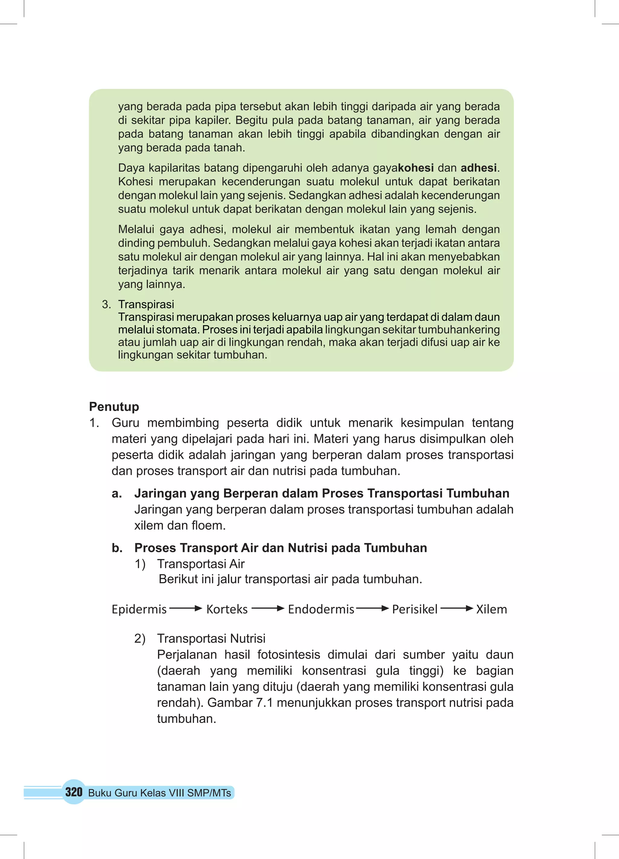 320 Buku Guru Kelas VIII SMP/MTs
Penutup
1.	 Guru membimbing peserta didik untuk menarik kesimpulan tentang
materi yang dipelajari pada hari ini. Materi yang harus disimpulkan oleh
peserta didik adalah jaringan yang berperan dalam proses transportasi
dan proses transport air dan nutrisi pada tumbuhan.
a.	 Jaringan yang Berperan dalam Proses Transportasi Tumbuhan
Jaringan yang berperan dalam proses transportasi tumbuhan adalah
xilem dan floem.
b.	 Proses Transport Air dan Nutrisi pada Tumbuhan
1)	 Transportasi Air
Berikut ini jalur transportasi air pada tumbuhan.
2)	 Transportasi Nutrisi
Perjalanan hasil fotosintesis dimulai dari sumber yaitu daun
(daerah yang memiliki konsentrasi gula tinggi) ke bagian
tanaman lain yang dituju (daerah yang memiliki konsentrasi gula
rendah). Gambar 7.1 menunjukkan proses transport nutrisi pada
tumbuhan.
Epidermis Korteks Endodermis Perisikel Xilem
yang berada pada pipa tersebut akan lebih tinggi daripada air yang berada
di sekitar pipa kapiler. Begitu pula pada batang tanaman, air yang berada
pada batang tanaman akan lebih tinggi apabila dibandingkan dengan air
yang berada pada tanah.
Daya kapilaritas batang dipengaruhi oleh adanya gayakohesi dan adhesi.
Kohesi merupakan kecenderungan suatu molekul untuk dapat berikatan
dengan molekul lain yang sejenis. Sedangkan adhesi adalah kecenderungan
suatu molekul untuk dapat berikatan dengan molekul lain yang sejenis.
Melalui gaya adhesi, molekul air membentuk ikatan yang lemah dengan
dinding pembuluh. Sedangkan melalui gaya kohesi akan terjadi ikatan antara
satu molekul air dengan molekul air yang lainnya. Hal ini akan menyebabkan
terjadinya tarik menarik antara molekul air yang satu dengan molekul air
yang lainnya.
3.	 Transpirasi
Transpirasi merupakan proses keluarnya uap air yang terdapat di dalam daun
melalui stomata. Proses ini terjadi apabila lingkungan sekitar tumbuhankering
atau jumlah uap air di lingkungan rendah, maka akan terjadi difusi uap air ke
lingkungan sekitar tumbuhan.
 