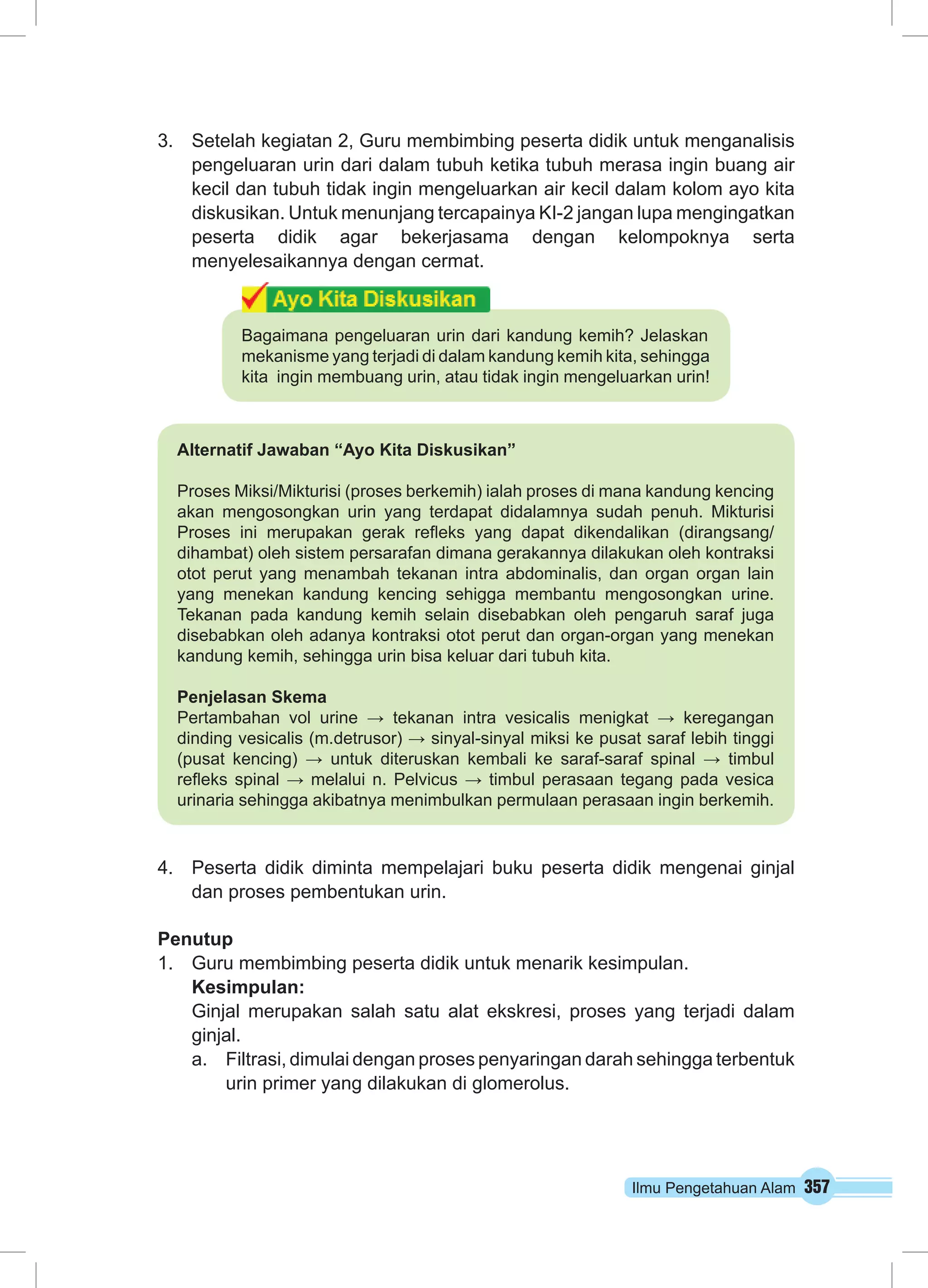 Ilmu Pengetahuan Alam 357
3.	 Setelah kegiatan 2, Guru membimbing peserta didik untuk menganalisis
pengeluaran urin dari dalam tubuh ketika tubuh merasa ingin buang air
kecil dan tubuh tidak ingin mengeluarkan air kecil dalam kolom ayo kita
diskusikan. Untuk menunjang tercapainya KI-2 jangan lupa mengingatkan
peserta didik agar bekerjasama dengan kelompoknya serta
menyelesaikannya dengan cermat.
4.	 Peserta didik diminta mempelajari buku peserta didik mengenai ginjal
dan proses pembentukan urin.
Penutup
1.	 Guru membimbing peserta didik untuk menarik kesimpulan.
Kesimpulan:
Ginjal merupakan salah satu alat ekskresi, proses yang terjadi dalam
ginjal.
a.	 Filtrasi, dimulai dengan proses penyaringan darah sehingga terbentuk
urin primer yang dilakukan di glomerolus.
Bagaimana pengeluaran urin dari kandung kemih? Jelaskan
mekanisme yang terjadi di dalam kandung kemih kita, sehingga
kita ingin membuang urin, atau tidak ingin mengeluarkan urin!
Alternatif Jawaban “Ayo Kita Diskusikan”
Proses Miksi/Mikturisi (proses berkemih) ialah proses di mana kandung kencing
akan mengosongkan urin yang terdapat didalamnya sudah penuh. Mikturisi
Proses ini merupakan gerak refleks yang dapat dikendalikan (dirangsang/
dihambat) oleh sistem persarafan dimana gerakannya dilakukan oleh kontraksi
otot perut yang menambah tekanan intra abdominalis, dan organ organ lain
yang menekan kandung kencing sehigga membantu mengosongkan urine.
Tekanan pada kandung kemih selain disebabkan oleh pengaruh saraf juga
disebabkan oleh adanya kontraksi otot perut dan organ-organ yang menekan
kandung kemih, sehingga urin bisa keluar dari tubuh kita.
Penjelasan Skema
Pertambahan vol urine → tekanan intra vesicalis menigkat → keregangan
dinding vesicalis (m.detrusor) → sinyal-sinyal miksi ke pusat saraf lebih tinggi
(pusat kencing) → untuk diteruskan kembali ke saraf-saraf spinal → timbul
refleks spinal → melalui n. Pelvicus → timbul perasaan tegang pada vesica
urinaria sehingga akibatnya menimbulkan permulaan perasaan ingin berkemih.
 