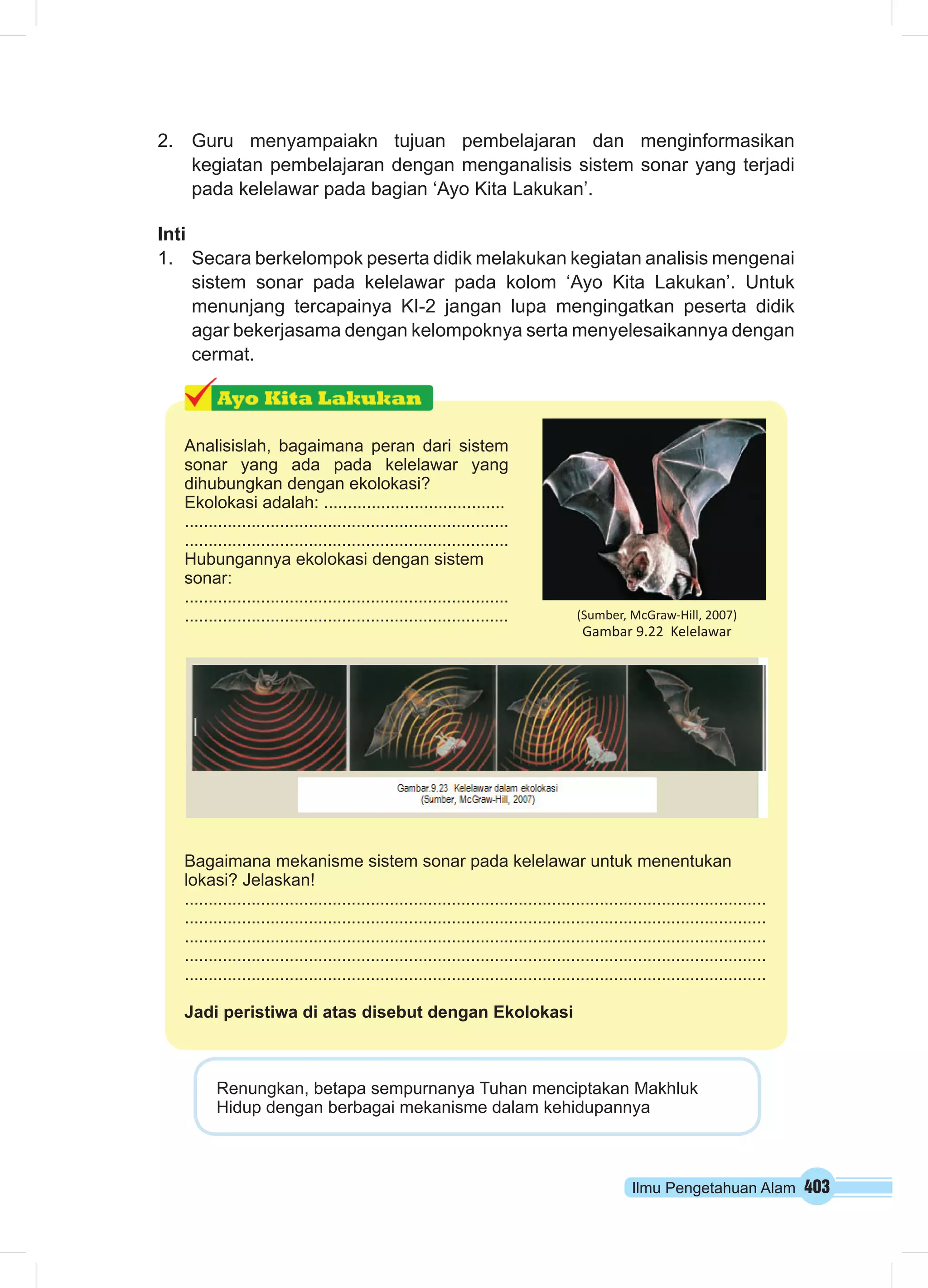 Ilmu Pengetahuan Alam 403
2.	 Guru menyampaiakn tujuan pembelajaran dan menginformasikan
kegiatan pembelajaran dengan menganalisis sistem sonar yang terjadi
pada kelelawar pada bagian ‘Ayo Kita Lakukan’.
Inti
1.	 Secara berkelompok peserta didik melakukan kegiatan analisis mengenai
sistem sonar pada kelelawar pada kolom ‘Ayo Kita Lakukan’. Untuk
menunjang tercapainya KI-2 jangan lupa mengingatkan peserta didik
agar bekerjasama dengan kelompoknya serta menyelesaikannya dengan
cermat.
Analisislah, bagaimana peran dari sistem
sonar yang ada pada kelelawar yang
dihubungkan dengan ekolokasi?
Ekolokasi adalah: ......................................
....................................................................
....................................................................
Hubungannya ekolokasi dengan sistem
sonar:
....................................................................
....................................................................
Bagaimana mekanisme sistem sonar pada kelelawar untuk menentukan
lokasi? Jelaskan!
..........................................................................................................................
..........................................................................................................................
..........................................................................................................................
..........................................................................................................................
..........................................................................................................................
Jadi peristiwa di atas disebut dengan Ekolokasi
(Sumber, McGraw-Hill, 2007)
Gambar 9.22 Kelelawar
Renungkan, betapa sempurnanya Tuhan menciptakan Makhluk
Hidup dengan berbagai mekanisme dalam kehidupannya
 