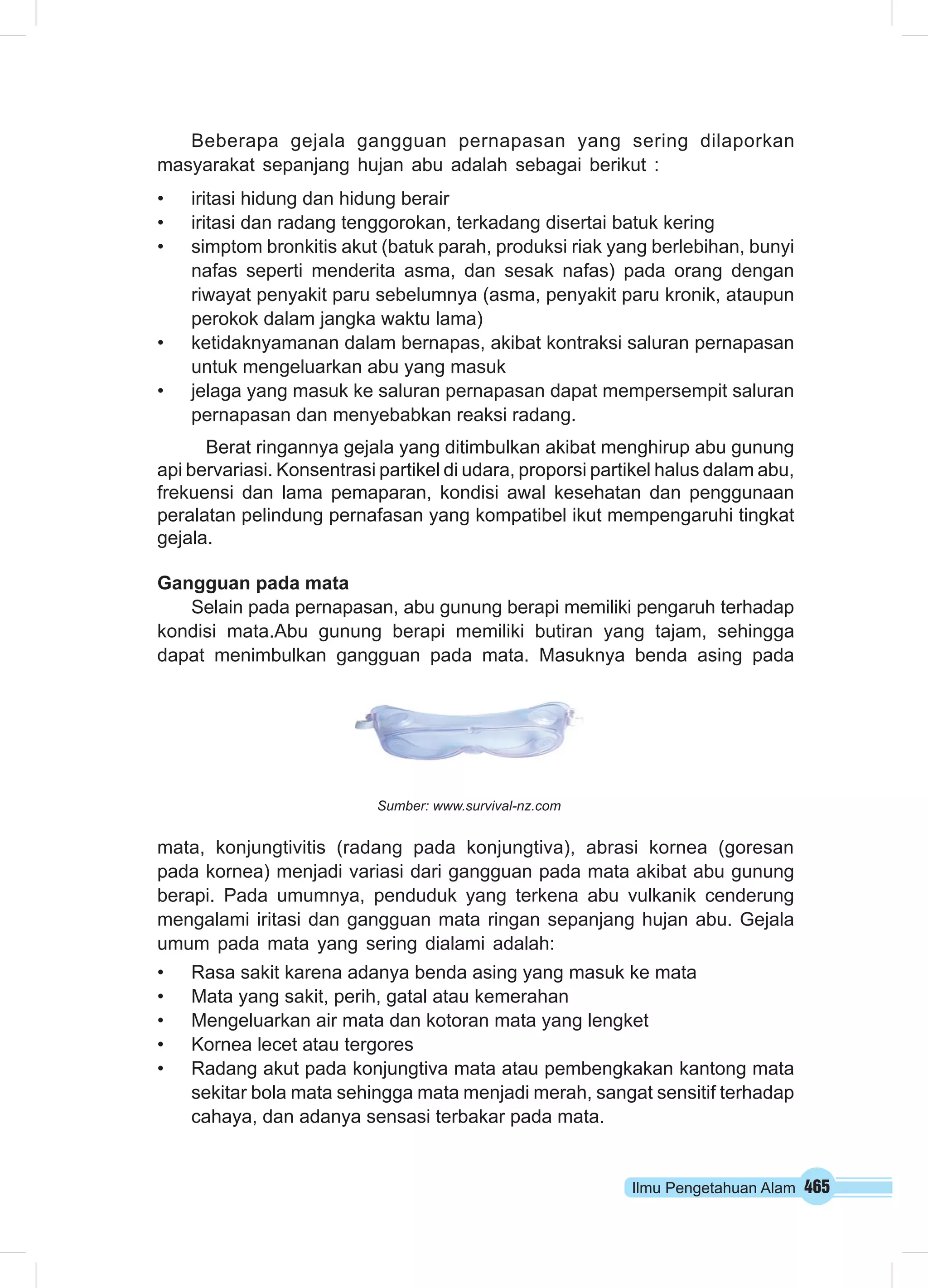 Ilmu Pengetahuan Alam 465
Beberapa gejala gangguan pernapasan yang sering dilaporkan
masyarakat sepanjang hujan abu adalah sebagai berikut :
•	 iritasi hidung dan hidung berair
•	 iritasi dan radang tenggorokan, terkadang disertai batuk kering
•	 simptom bronkitis akut (batuk parah, produksi riak yang berlebihan, bunyi
nafas seperti menderita asma, dan sesak nafas) pada orang dengan
riwayat penyakit paru sebelumnya (asma, penyakit paru kronik, ataupun
perokok dalam jangka waktu lama)
•	 ketidaknyamanan dalam bernapas, akibat kontraksi saluran pernapasan
untuk mengeluarkan abu yang masuk
•	 jelaga yang masuk ke saluran pernapasan dapat mempersempit saluran
pernapasan dan menyebabkan reaksi radang.
Berat ringannya gejala yang ditimbulkan akibat menghirup abu gunung
api bervariasi. Konsentrasi partikel di udara, proporsi partikel halus dalam abu,
frekuensi dan lama pemaparan, kondisi awal kesehatan dan penggunaan
peralatan pelindung pernafasan yang kompatibel ikut mempengaruhi tingkat
gejala.
Gangguan pada mata
Selain pada pernapasan, abu gunung berapi memiliki pengaruh terhadap
kondisi mata.Abu gunung berapi memiliki butiran yang tajam, sehingga
dapat menimbulkan gangguan pada mata. Masuknya benda asing pada
mata, konjungtivitis (radang pada konjungtiva), abrasi kornea (goresan
pada kornea) menjadi variasi dari gangguan pada mata akibat abu gunung
berapi. Pada umumnya, penduduk yang terkena abu vulkanik cenderung
mengalami iritasi dan gangguan mata ringan sepanjang hujan abu. Gejala
umum pada mata yang sering dialami adalah:
•	 Rasa sakit karena adanya benda asing yang masuk ke mata
•	 Mata yang sakit, perih, gatal atau kemerahan
•	 Mengeluarkan air mata dan kotoran mata yang lengket
•	 Kornea lecet atau tergores
•	 Radang akut pada konjungtiva mata atau pembengkakan kantong mata
sekitar bola mata sehingga mata menjadi merah, sangat sensitif terhadap
cahaya, dan adanya sensasi terbakar pada mata.
Sumber: www.survival-nz.com
 
