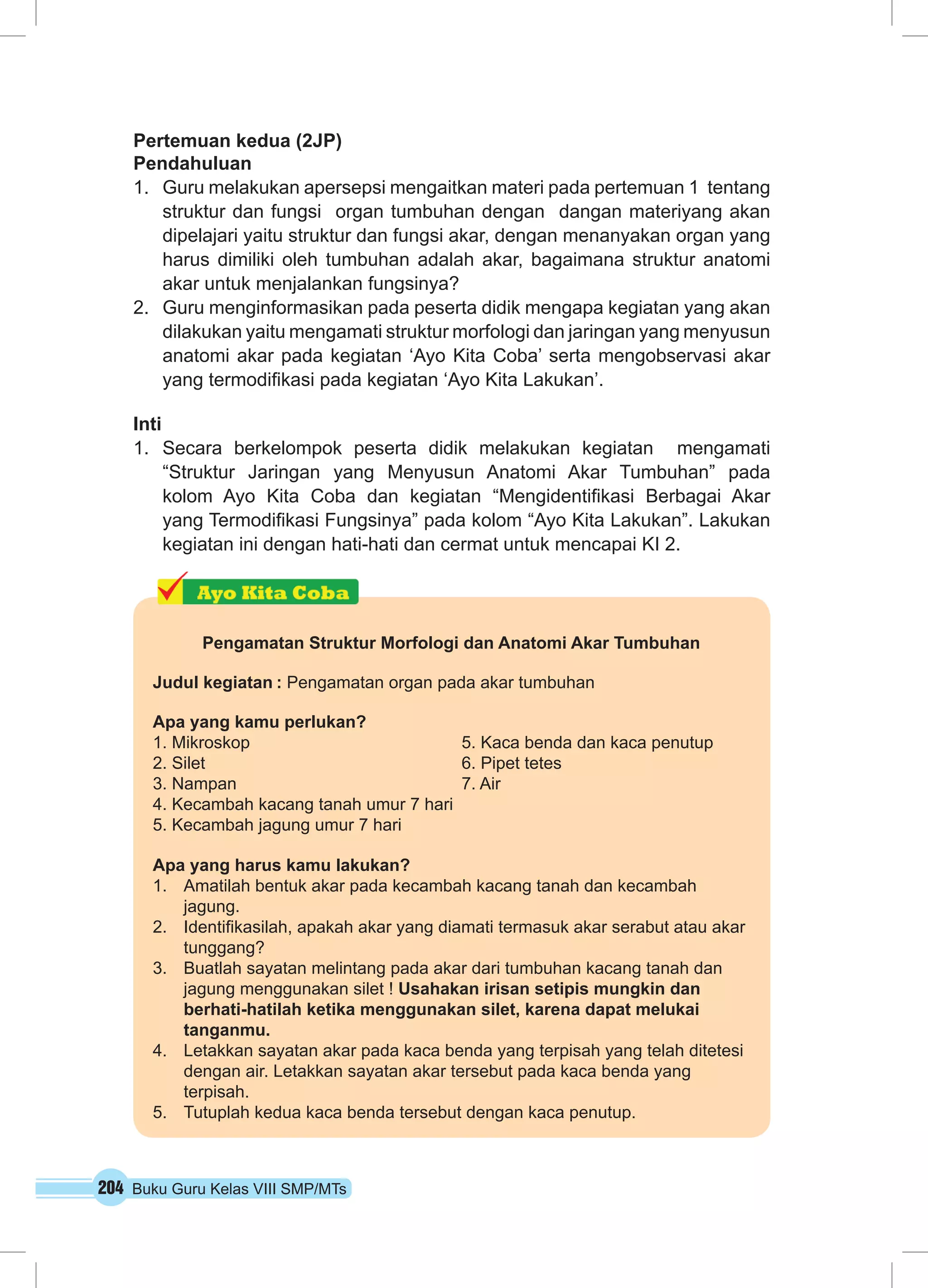 Pertemuan kedua (2JP) 
Pendahuluan 
1. Guru melakukan apersepsi mengaitkan materi pada pertemuan 1 tentang 
struktur dan fungsi organ tumbuhan dengan dangan materiyang akan 
dipelajari yaitu struktur dan fungsi akar, dengan menanyakan organ yang 
harus dimiliki oleh tumbuhan adalah akar, bagaimana struktur anatomi 
akar untuk menjalankan fungsinya? 
2. Guru menginformasikan pada peserta didik mengapa kegiatan yang akan 
dilakukan yaitu mengamati struktur morfologi dan jaringan yang menyusun 
anatomi akar pada kegiatan ‘Ayo Kita Coba’ serta mengobservasi akar 
yang termodifikasi pada kegiatan ‘Ayo Kita Lakukan’. 
Inti 
1. Secara berkelompok peserta didik melakukan kegiatan mengamati 
“Struktur Jaringan yang Menyusun Anatomi Akar Tumbuhan” pada 
kolom Ayo Kita Coba dan kegiatan “Mengidentifikasi Berbagai Akar 
yang Termodifikasi Fungsinya” pada kolom “Ayo Kita Lakukan”. Lakukan 
kegiatan ini dengan hati-hati dan cermat untuk mencapai KI 2. 
Pengamatan Struktur Morfologi dan Anatomi Akar Tumbuhan 
Judul kegiatan : Pengamatan organ pada akar tumbuhan 
Apa yang kamu perlukan? 
1. Mikroskop 5. Kaca benda dan kaca penutup 
2. Silet 6. Pipet tetes 
3. Nampan 7. Air 
4. Kecambah kacang tanah umur 7 hari 
5. Kecambah jagung umur 7 hari 
Apa yang harus kamu lakukan? 
1. Amatilah bentuk akar pada kecambah kacang tanah dan kecambah 
jagung. 
2. Identifikasilah, apakah akar yang diamati termasuk akar serabut atau akar 
tunggang? 
3. Buatlah sayatan melintang pada akar dari tumbuhan kacang tanah dan 
jagung menggunakan silet ! Usahakan irisan setipis mungkin dan 
berhati-hatilah ketika menggunakan silet, karena dapat melukai 
tanganmu. 
4. Letakkan sayatan akar pada kaca benda yang terpisah yang telah ditetesi 
dengan air. Letakkan sayatan akar tersebut pada kaca benda yang 
terpisah. 
5. Tutuplah kedua kaca benda tersebut dengan kaca penutup. 
204 Buku Guru Kelas VIII SMP/MTs 
 