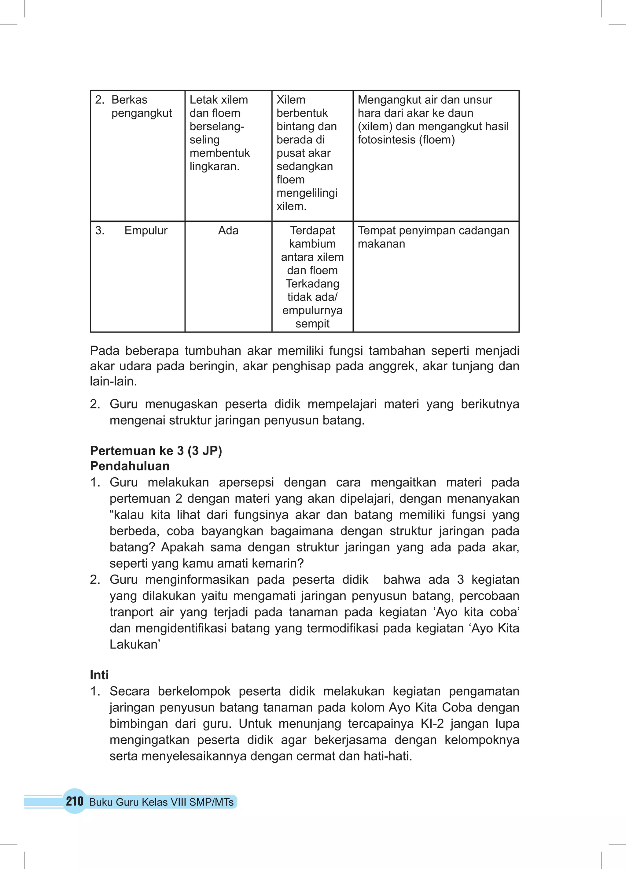2. Berkas 
pengangkut 
Letak xilem 
dan floem 
berselang-seling 
membentuk 
lingkaran. 
210 Buku Guru Kelas VIII SMP/MTs 
Xilem 
berbentuk 
bintang dan 
berada di 
pusat akar 
sedangkan 
floem 
mengelilingi 
xilem. 
Mengangkut air dan unsur 
hara dari akar ke daun 
(xilem) dan mengangkut hasil 
fotosintesis (floem) 
3. Empulur Ada Terdapat 
kambium 
antara xilem 
dan floem 
Terkadang 
tidak ada/ 
empulurnya 
sempit 
Tempat penyimpan cadangan 
makanan 
Pada beberapa tumbuhan akar memiliki fungsi tambahan seperti menjadi 
akar udara pada beringin, akar penghisap pada anggrek, akar tunjang dan 
lain-lain. 
2. Guru menugaskan peserta didik mempelajari materi yang berikutnya 
mengenai struktur jaringan penyusun batang. 
Pertemuan ke 3 (3 JP) 
Pendahuluan 
1. Guru melakukan apersepsi dengan cara mengaitkan materi pada 
pertemuan 2 dengan materi yang akan dipelajari, dengan menanyakan 
“kalau kita lihat dari fungsinya akar dan batang memiliki fungsi yang 
berbeda, coba bayangkan bagaimana dengan struktur jaringan pada 
batang? Apakah sama dengan struktur jaringan yang ada pada akar, 
seperti yang kamu amati kemarin? 
2. Guru menginformasikan pada peserta didik bahwa ada 3 kegiatan 
yang dilakukan yaitu mengamati jaringan penyusun batang, percobaan 
tranport air yang terjadi pada tanaman pada kegiatan ‘Ayo kita coba’ 
dan mengidentifikasi batang yang termodifikasi pada kegiatan ‘Ayo Kita 
Lakukan’ 
Inti 
1. Secara berkelompok peserta didik melakukan kegiatan pengamatan 
jaringan penyusun batang tanaman pada kolom Ayo Kita Coba dengan 
bimbingan dari guru. Untuk menunjang tercapainya KI-2 jangan lupa 
mengingatkan peserta didik agar bekerjasama dengan kelompoknya 
serta menyelesaikannya dengan cermat dan hati-hati. 
 