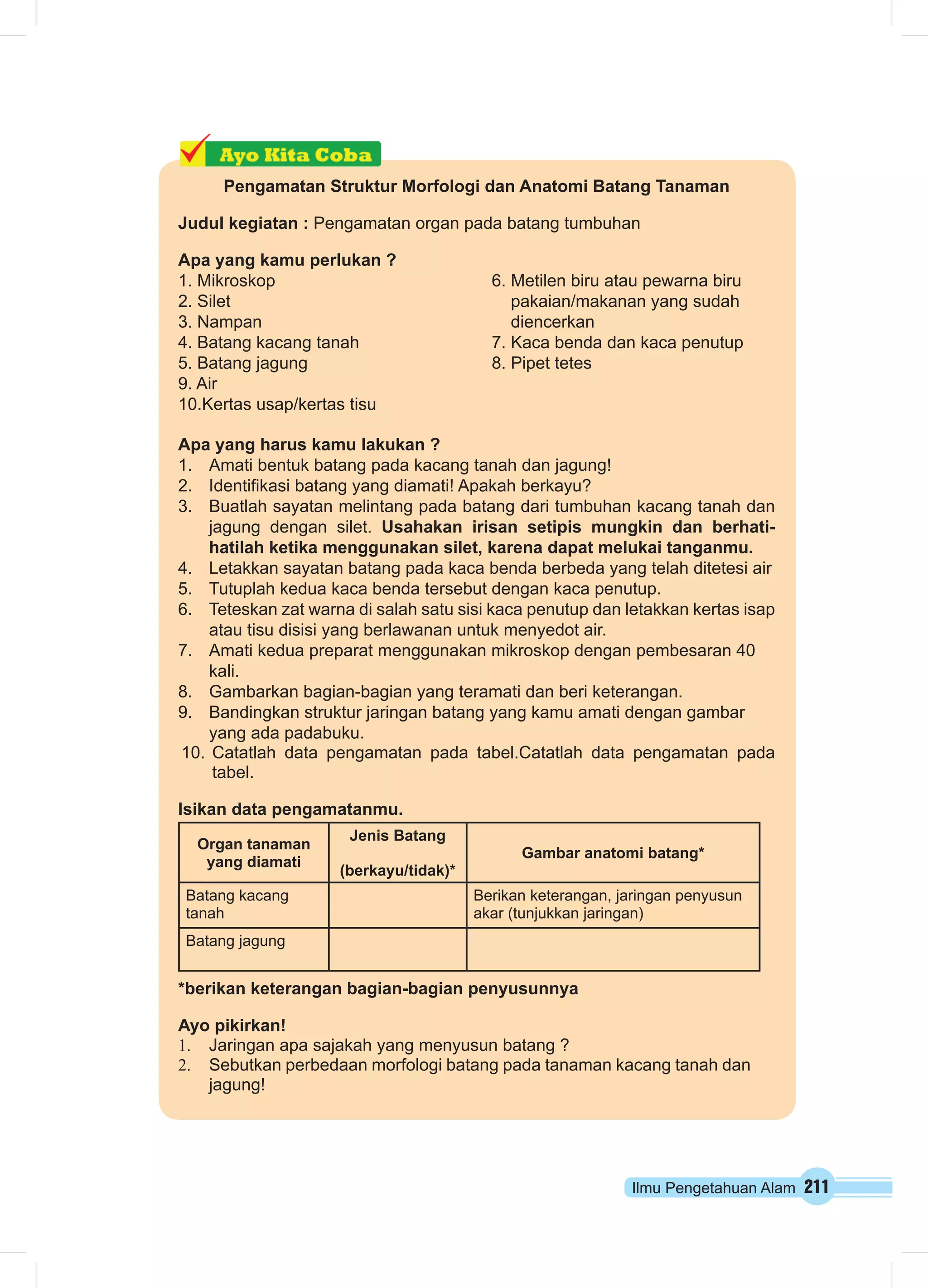 Pengamatan Struktur Morfologi dan Anatomi Batang Tanaman 
Judul kegiatan : Pengamatan organ pada batang tumbuhan 
Apa yang kamu perlukan ? 
1. Mikroskop 6. Metilen biru atau pewarna biru 
2. Silet pakaian/makanan yang sudah 
3. Nampan diencerkan 
4. Batang kacang tanah 7. Kaca benda dan kaca penutup 
5. Batang jagung 8. Pipet tetes 
9. Air 
10.Kertas usap/kertas tisu 
Apa yang harus kamu lakukan ? 
1. Amati bentuk batang pada kacang tanah dan jagung! 
2. Identifikasi batang yang diamati! Apakah berkayu? 
3. Buatlah sayatan melintang pada batang dari tumbuhan kacang tanah dan 
jagung dengan silet. Usahakan irisan setipis mungkin dan berhati-hatilah 
ketika menggunakan silet, karena dapat melukai tanganmu. 
4. Letakkan sayatan batang pada kaca benda berbeda yang telah ditetesi air 
5. Tutuplah kedua kaca benda tersebut dengan kaca penutup. 
6. Teteskan zat warna di salah satu sisi kaca penutup dan letakkan kertas isap 
Ilmu Pengetahuan Alam 211 
atau tisu disisi yang berlawanan untuk menyedot air. 
7. Amati kedua preparat menggunakan mikroskop dengan pembesaran 40 
kali. 
8. Gambarkan bagian-bagian yang teramati dan beri keterangan. 
9. Bandingkan struktur jaringan batang yang kamu amati dengan gambar 
yang ada padabuku. 
10. Catatlah data pengamatan pada tabel.Catatlah data pengamatan pada 
tabel. 
Isikan data pengamatanmu. 
Organ tanaman 
yang diamati 
Jenis Batang 
(berkayu/tidak)* 
Gambar anatomi batang* 
Batang kacang 
tanah 
Berikan keterangan, jaringan penyusun 
akar (tunjukkan jaringan) 
Batang jagung 
*berikan keterangan bagian-bagian penyusunnya 
Ayo pikirkan! 
1. Jaringan apa sajakah yang menyusun batang ? 
2. Sebutkan perbedaan morfologi batang pada tanaman kacang tanah dan 
jagung! 
 