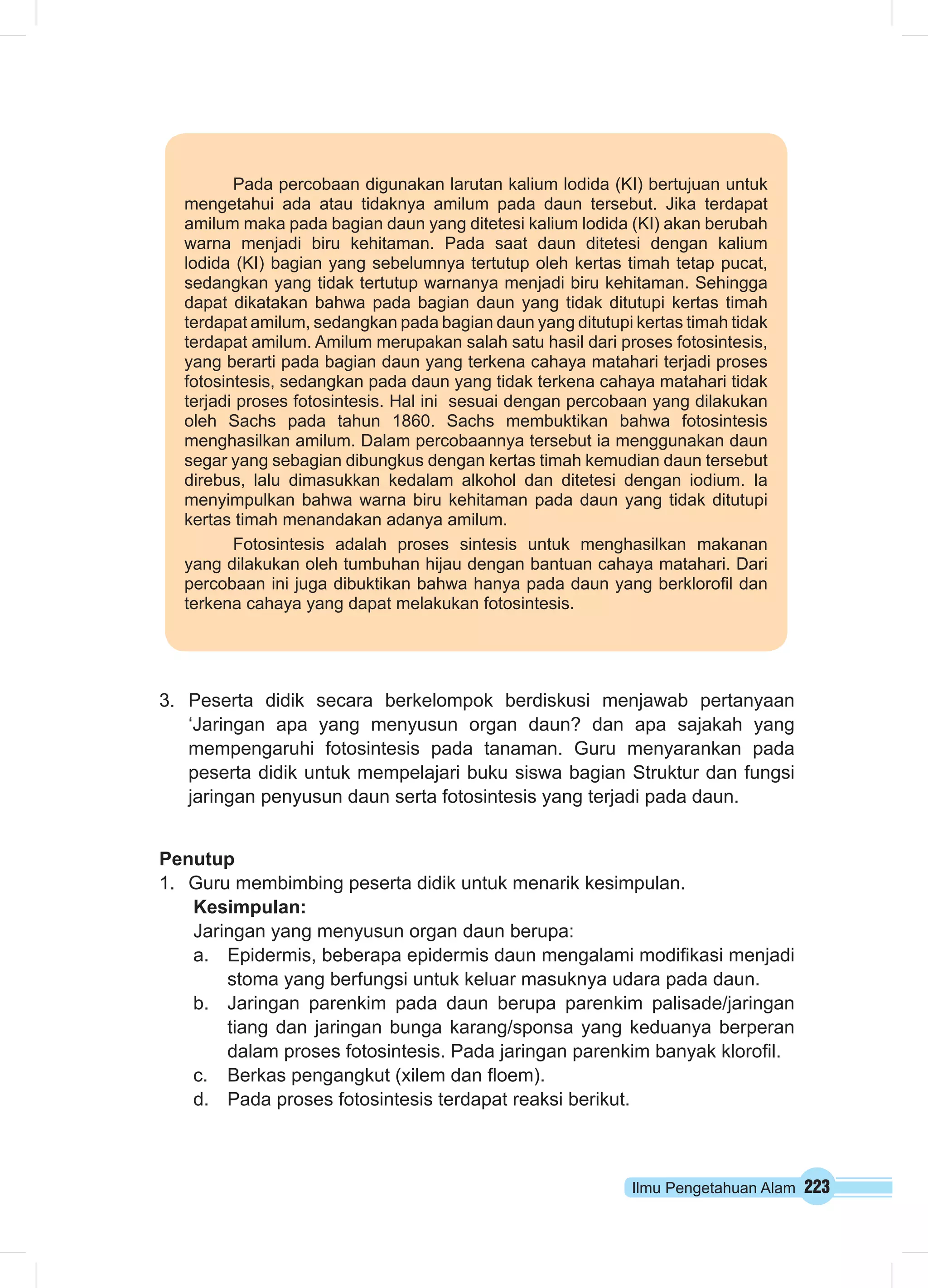 Pada percobaan digunakan larutan kalium lodida (KI) bertujuan untuk 
mengetahui ada atau tidaknya amilum pada daun tersebut. Jika terdapat 
amilum maka pada bagian daun yang ditetesi kalium lodida (KI) akan berubah 
warna menjadi biru kehitaman. Pada saat daun ditetesi dengan kalium 
lodida (KI) bagian yang sebelumnya tertutup oleh kertas timah tetap pucat, 
sedangkan yang tidak tertutup warnanya menjadi biru kehitaman. Sehingga 
dapat dikatakan bahwa pada bagian daun yang tidak ditutupi kertas timah 
terdapat amilum, sedangkan pada bagian daun yang ditutupi kertas timah tidak 
terdapat amilum. Amilum merupakan salah satu hasil dari proses fotosintesis, 
yang berarti pada bagian daun yang terkena cahaya matahari terjadi proses 
fotosintesis, sedangkan pada daun yang tidak terkena cahaya matahari tidak 
terjadi proses fotosintesis. Hal ini sesuai dengan percobaan yang dilakukan 
oleh Sachs pada tahun 1860. Sachs membuktikan bahwa fotosintesis 
menghasilkan amilum. Dalam percobaannya tersebut ia menggunakan daun 
segar yang sebagian dibungkus dengan kertas timah kemudian daun tersebut 
direbus, lalu dimasukkan kedalam alkohol dan ditetesi dengan iodium. Ia 
menyimpulkan bahwa warna biru kehitaman pada daun yang tidak ditutupi 
kertas timah menandakan adanya amilum. 
Fotosintesis adalah proses sintesis untuk menghasilkan makanan 
yang dilakukan oleh tumbuhan hijau dengan bantuan cahaya matahari. Dari 
percobaan ini juga dibuktikan bahwa hanya pada daun yang berklorofil dan 
terkena cahaya yang dapat melakukan fotosintesis. 
3. Peserta didik secara berkelompok berdiskusi menjawab pertanyaan 
‘Jaringan apa yang menyusun organ daun? dan apa sajakah yang 
mempengaruhi fotosintesis pada tanaman. Guru menyarankan pada 
peserta didik untuk mempelajari buku siswa bagian Struktur dan fungsi 
jaringan penyusun daun serta fotosintesis yang terjadi pada daun. 
Penutup 
1. Guru membimbing peserta didik untuk menarik kesimpulan. 
Kesimpulan: 
Jaringan yang menyusun organ daun berupa: 
a. Epidermis, beberapa epidermis daun mengalami modifikasi menjadi 
stoma yang berfungsi untuk keluar masuknya udara pada daun. 
b. Jaringan parenkim pada daun berupa parenkim palisade/jaringan 
tiang dan jaringan bunga karang/sponsa yang keduanya berperan 
dalam proses fotosintesis. Pada jaringan parenkim banyak klorofil. 
Ilmu Pengetahuan Alam 223 
c. Berkas pengangkut (xilem dan floem). 
d. Pada proses fotosintesis terdapat reaksi berikut. 
 