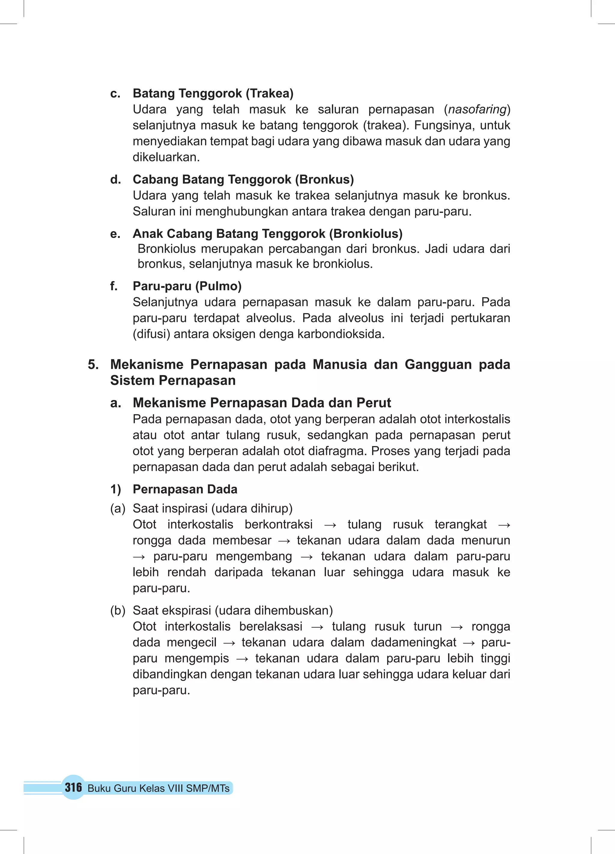 c. Batang Tenggorok (Trakea) 
Udara yang telah masuk ke saluran pernapasan (nasofaring) 
selanjutnya masuk ke batang tenggorok (trakea). Fungsinya, untuk 
menyediakan tempat bagi udara yang dibawa masuk dan udara yang 
dikeluarkan. 
d. Cabang Batang Tenggorok (Bronkus) 
Udara yang telah masuk ke trakea selanjutnya masuk ke bronkus. 
Saluran ini menghubungkan antara trakea dengan paru-paru. 
e. Anak Cabang Batang Tenggorok (Bronkiolus) 
Bronkiolus merupakan percabangan dari bronkus. Jadi udara dari 
bronkus, selanjutnya masuk ke bronkiolus. 
f. Paru-paru (Pulmo) 
Selanjutnya udara pernapasan masuk ke dalam paru-paru. Pada 
paru-paru terdapat alveolus. Pada alveolus ini terjadi pertukaran 
(difusi) antara oksigen denga karbondioksida. 
5. Mekanisme Pernapasan pada Manusia dan Gangguan pada 
Sistem Pernapasan 
a. Mekanisme Pernapasan Dada dan Perut 
Pada pernapasan dada, otot yang berperan adalah otot interkostalis 
atau otot antar tulang rusuk, sedangkan pada pernapasan perut 
otot yang berperan adalah otot diafragma. Proses yang terjadi pada 
pernapasan dada dan perut adalah sebagai berikut. 
1) Pernapasan Dada 
(a) Saat inspirasi (udara dihirup) 
Otot interkostalis berkontraksi → tulang rusuk terangkat → 
rongga dada membesar → tekanan udara dalam dada menurun 
→ paru-paru mengembang → tekanan udara dalam paru-paru 
lebih rendah daripada tekanan luar sehingga udara masuk ke 
paru-paru. 
(b) Saat ekspirasi (udara dihembuskan) 
Otot interkostalis berelaksasi → tulang rusuk turun → rongga 
dada mengecil → tekanan udara dalam dadameningkat → paru-paru 
mengempis → tekanan udara dalam paru-paru lebih tinggi 
dibandingkan dengan tekanan udara luar sehingga udara keluar dari 
paru-paru. 
316 Buku Guru Kelas VIII SMP/MTs 
 