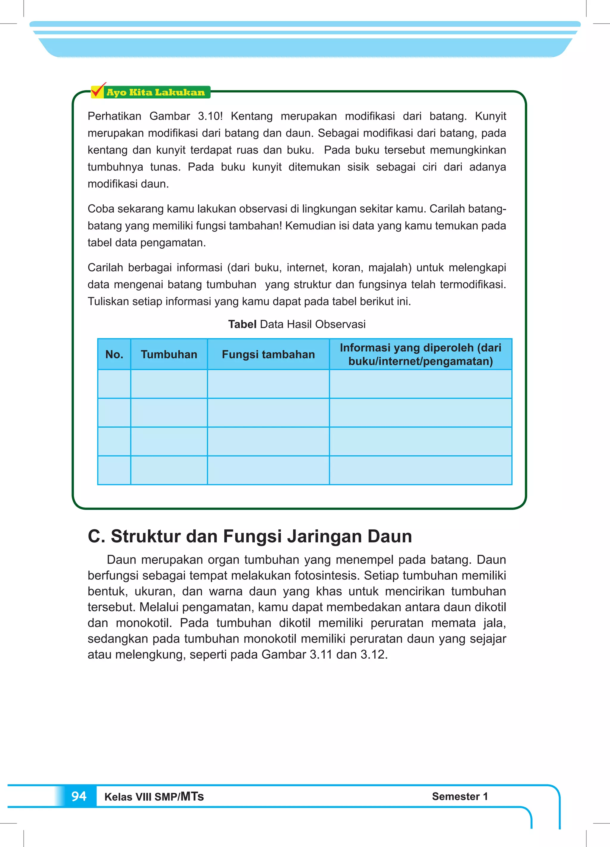 Kelas VIII SMP/MTs Semester 194
Perhatikan Gambar 3.10! Kentang merupakan modifikasi dari batang. Kunyit
merupakan modifikasi dari batang dan daun. Sebagai modifikasi dari batang, pada
kentang dan kunyit terdapat ruas dan buku. Pada buku tersebut memungkinkan
tumbuhnya tunas. Pada buku kunyit ditemukan sisik sebagai ciri dari adanya
modifikasi daun.
Coba sekarang kamu lakukan observasi di lingkungan sekitar kamu. Carilah batang-
batang yang memiliki fungsi tambahan! Kemudian isi data yang kamu temukan pada
tabel data pengamatan.
Carilah berbagai informasi (dari buku, internet, koran, majalah) untuk melengkapi
data mengenai batang tumbuhan yang struktur dan fungsinya telah termodifikasi.
Tuliskan setiap informasi yang kamu dapat pada tabel berikut ini.
Tabel Data Hasil Observasi
No. Tumbuhan Fungsi tambahan
Informasi yang diperoleh (dari
buku/internet/pengamatan)
C. Struktur dan Fungsi Jaringan Daun
	 Daun merupakan organ tumbuhan yang menempel pada batang. Daun
berfungsi sebagai tempat melakukan fotosintesis. Setiap tumbuhan memiliki
bentuk, ukuran, dan warna daun yang khas untuk mencirikan tumbuhan
tersebut. Melalui pengamatan, kamu dapat membedakan antara daun dikotil
dan monokotil. Pada tumbuhan dikotil memiliki peruratan memata jala,
sedangkan pada tumbuhan monokotil memiliki peruratan daun yang sejajar
atau melengkung, seperti pada Gambar 3.11 dan 3.12.
 