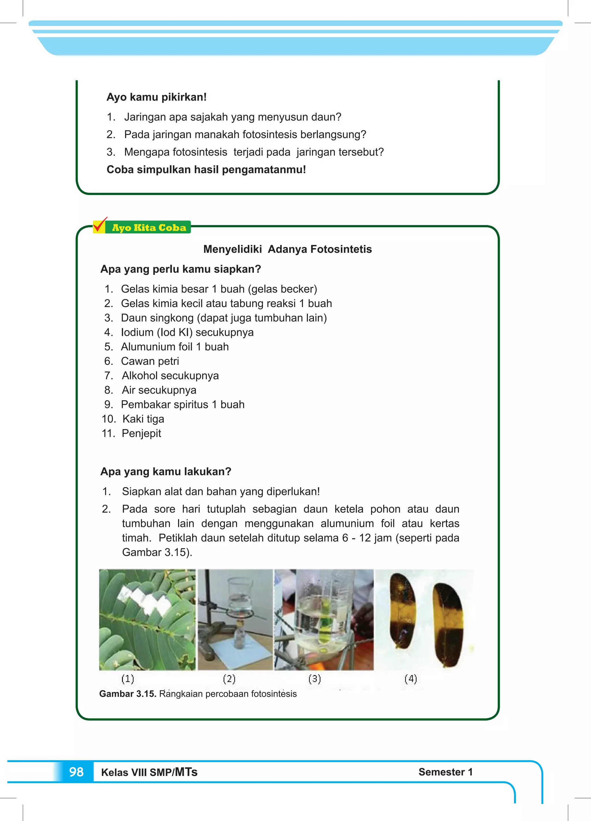 Kelas VIII SMP/MTs Semester 198
Ayo kamu pikirkan!
1.	 Jaringan apa sajakah yang menyusun daun?
2.	 Pada jaringan manakah fotosintesis berlangsung?
3.	 Mengapa fotosintesis terjadi pada jaringan tersebut?
Coba simpulkan hasil pengamatanmu!
Menyelidiki Adanya Fotosintetis
Apa yang perlu kamu siapkan?
1.	 Gelas kimia besar 1 buah (gelas becker)
2.	 Gelas kimia kecil atau tabung reaksi 1 buah
3.	 Daun singkong (dapat juga tumbuhan lain)
4.	 Iodium (Iod KI) secukupnya
5.	 Alumunium foil 1 buah
6.	 Cawan petri
7. Alkohol secukupnya
8. Air secukupnya
9.	 Pembakar spiritus 1 buah
10. Kaki tiga
11. Penjepit
Apa yang kamu lakukan?
1.	 Siapkan alat dan bahan yang diperlukan!
2.	 Pada sore hari tutuplah sebagian daun ketela pohon atau daun
tumbuhan lain dengan menggunakan alumunium foil atau kertas
timah. Petiklah daun setelah ditutup selama 6 - 12 jam (seperti pada
Gambar 3.15).
Gambar 3.15. Rangkaian percobaan fotosintesis
 
