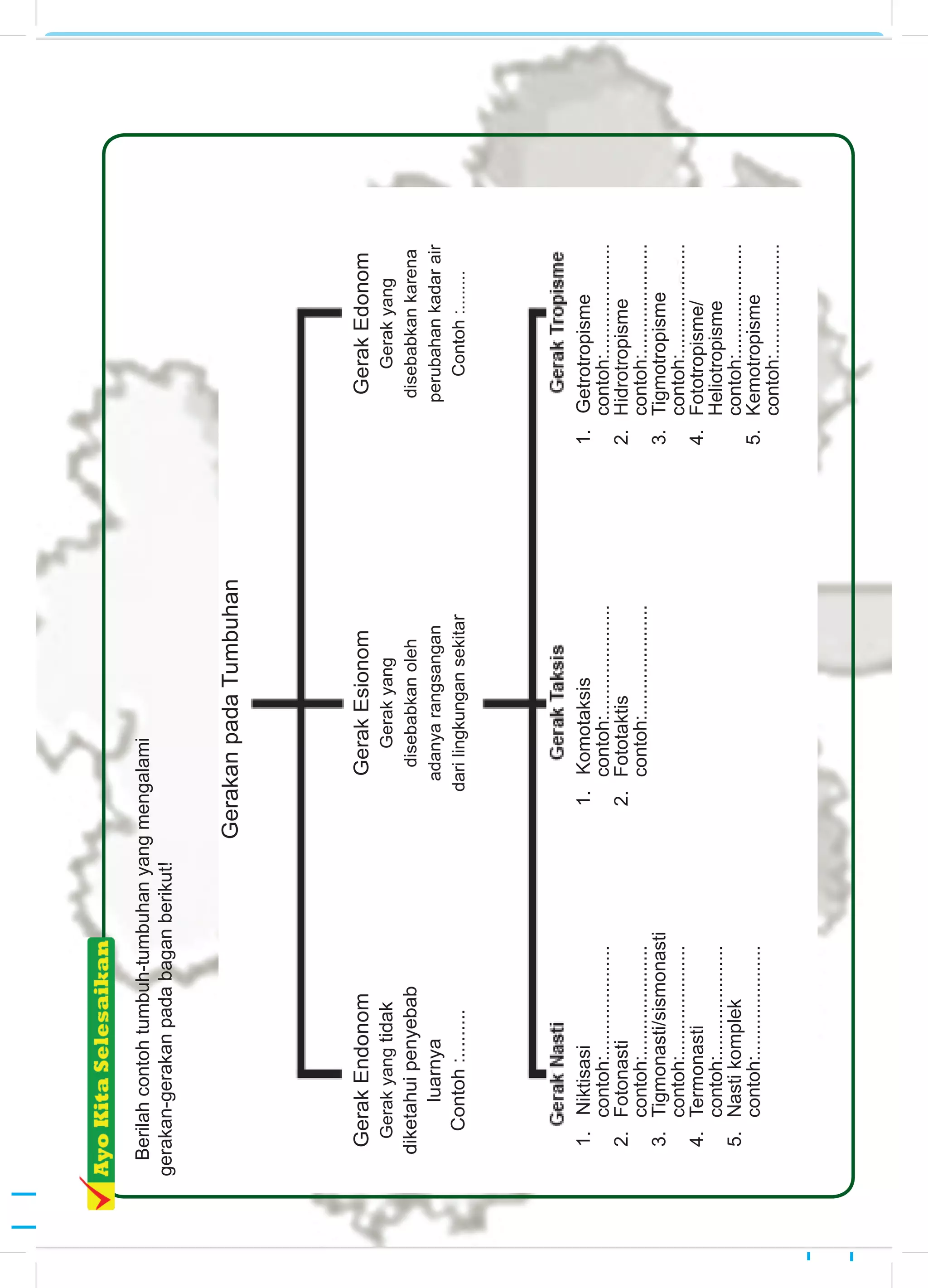 Kelas VIII SMP/MTs Semester 110
Berilahcontohtumbuh-tumbuhanyangmengalami
gerakan-gerakanpadabaganberikut!
1.Niktisasi
	contoh:.....................
2.	Fotonasti
	contoh:.....................
3.	Tigmonasti/sismonasti
	contoh:.....................
4.	Termonasti
	contoh:.....................
5.	Nastikomplek
	contoh:.....................
1.Getrotropisme
	contoh:.....................
2.	Hidrotropisme
	contoh:.....................
3.	Tigmotropisme
	contoh:.....................
4.	Fototropisme/
Heliotropisme
	contoh:.....................
5.	Kemotropisme	
contoh:.....................
1.Komotaksis
	contoh:.....................
2.	Fototaktis
	contoh:.....................
GerakEndonom
GerakanpadaTumbuhan
GerakEsionom
Gerakyang
disebabkanoleh
adanyarangsangan
darilingkungansekitar
GerakEndonom
Gerakyangtidak
diketahuipenyebab
luarnya
Contoh:.........
GerakEdonom
Gerakyang
disebabkankarena
perubahankadarair
Contoh:........
 