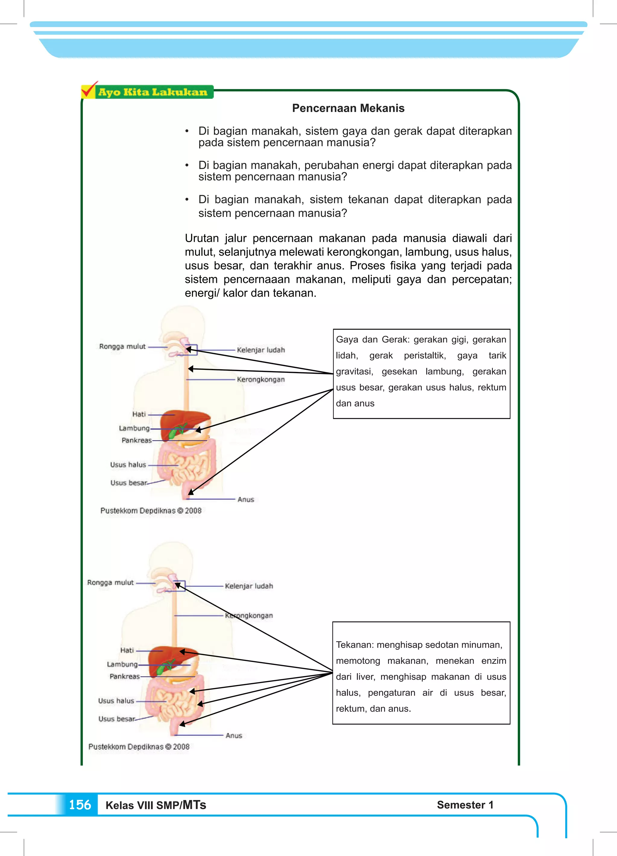 Kelas VIII SMP/MTs Semester 1156
Gaya dan Gerak: gerakan gigi, gerakan
lidah, gerak peristaltik, gaya tarik
gravitasi, gesekan lambung, gerakan
usus besar, gerakan usus halus, rektum
dan anus
Pencernaan Mekanis
•	 Di bagian manakah, sistem gaya dan gerak dapat diterapkan
pada sistem pencernaan manusia?
•	 Di bagian manakah, perubahan energi dapat diterapkan pada
sistem pencernaan manusia?
•	 Di bagian manakah, sistem tekanan dapat diterapkan pada
sistem pencernaan manusia?
Urutan jalur pencernaan makanan pada manusia diawali dari
mulut, selanjutnya melewati kerongkongan, lambung, usus halus,
usus besar, dan terakhir anus. Proses fisika yang terjadi pada
sistem pencernaaan makanan, meliputi gaya dan percepatan;
energi/ kalor dan tekanan.
Tekanan: menghisap sedotan
minuman, memotong makanan,
menekan enzim dari liver, menghisap
makanan di usus halus, pengaturan air
di usus besar, rektum, dan anus
Gaya dan Gerak: gerakan gigi, gerakan
lidah, gerak peristaltik, gaya tarik
gravitasi, gesekan lambung, gerakan
usus besar, gerakan usus halus, rektum
dan anus
Tekanan: menghisap sedotan minuman,
memotong makanan, menekan enzim
dari liver, menghisap makanan di usus
halus, pengaturan air di usus besar,
rektum, dan anus.
 