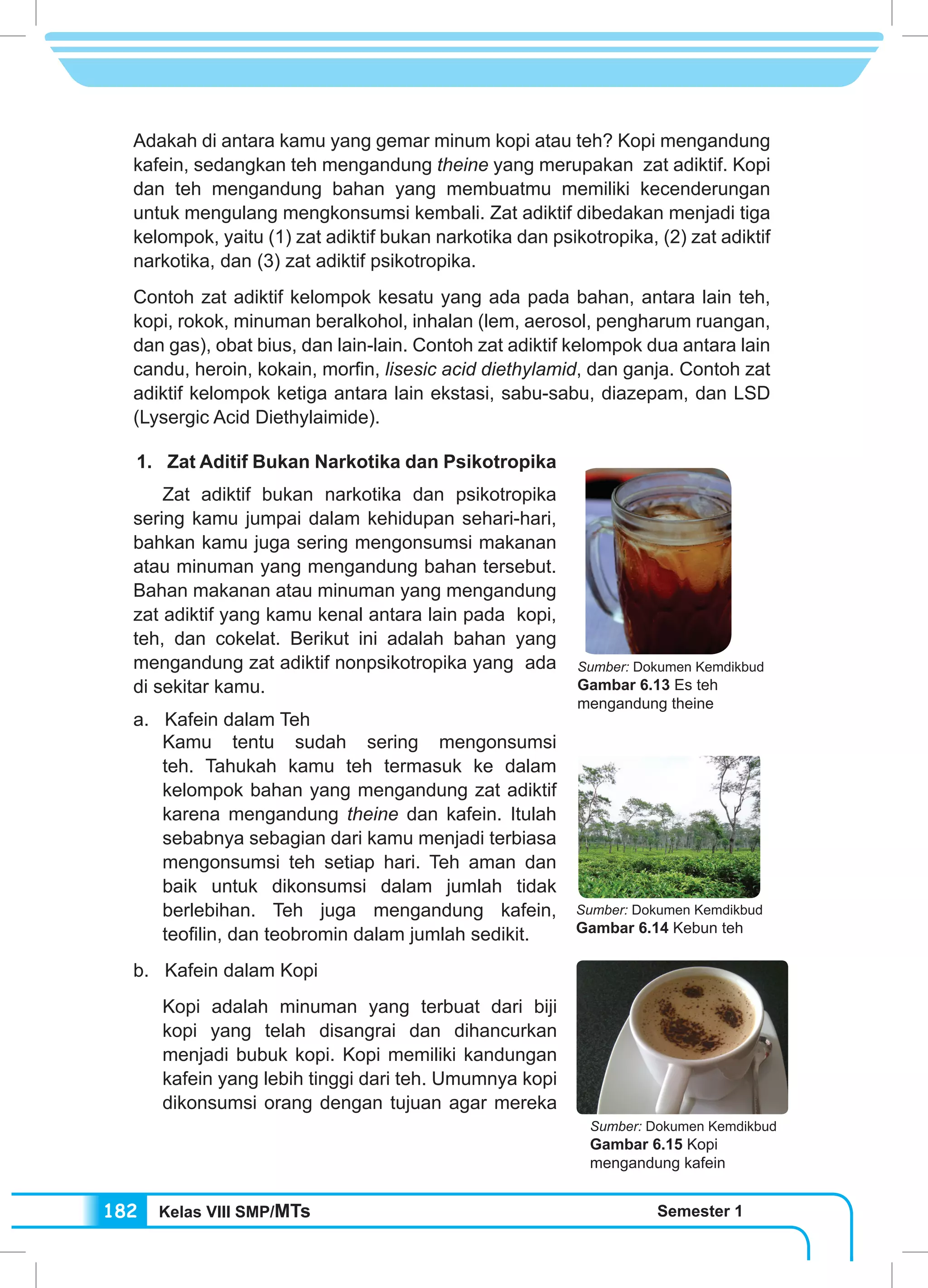 Kelas VIII SMP/MTs Semester 1182
Adakah di antara kamu yang gemar minum kopi atau teh? Kopi mengandung
kafein, sedangkan teh mengandung theine yang merupakan zat adiktif. Kopi
dan teh mengandung bahan yang membuatmu memiliki kecenderungan
untuk mengulang mengkonsumsi kembali. Zat adiktif dibedakan menjadi tiga
kelompok, yaitu (1) zat adiktif bukan narkotika dan psikotropika, (2) zat adiktif
narkotika, dan (3) zat adiktif psikotropika.
Contoh zat adiktif kelompok kesatu yang ada pada bahan, antara lain teh,
kopi, rokok, minuman beralkohol, inhalan (lem, aerosol, pengharum ruangan,
dan gas), obat bius, dan lain-lain. Contoh zat adiktif kelompok dua antara lain
candu, heroin, kokain, morfin, lisesic acid diethylamid, dan ganja. Contoh zat
adiktif kelompok ketiga antara lain ekstasi, sabu-sabu, diazepam, dan LSD
(Lysergic Acid Diethylaimide).
1.	 Zat Aditif Bukan Narkotika dan Psikotropika
	 Zat adiktif bukan narkotika dan psikotropika
sering kamu jumpai dalam kehidupan sehari-hari,
bahkan kamu juga sering mengonsumsi makanan
atau minuman yang mengandung bahan tersebut.
Bahan makanan atau minuman yang mengandung
zat adiktif yang kamu kenal antara lain pada kopi,
teh, dan cokelat. Berikut ini adalah bahan yang
mengandung zat adiktif nonpsikotropika yang ada
di sekitar kamu.
a. Kafein dalam Teh
	 Kamu tentu sudah sering mengonsumsi
teh. Tahukah kamu teh termasuk ke dalam
kelompok bahan yang mengandung zat adiktif
karena mengandung theine dan kafein. Itulah
sebabnya sebagian dari kamu menjadi terbiasa
mengonsumsi teh setiap hari. Teh aman dan
baik untuk dikonsumsi dalam jumlah tidak
berlebihan. Teh juga mengandung kafein,
teofilin, dan teobromin dalam jumlah sedikit.
b. Kafein dalam Kopi
	 Kopi adalah minuman yang terbuat dari biji
kopi yang telah disangrai dan dihancurkan
menjadi bubuk kopi. Kopi memiliki kandungan
kafein yang lebih tinggi dari teh. Umumnya kopi
dikonsumsi orang dengan tujuan agar mereka
Sumber: Dokumen Kemdikbud
Gambar 6.13 Es teh
mengandung theine
Sumber: Dokumen Kemdikbud
Gambar 6.14 Kebun teh
Sumber: Dokumen Kemdikbud
Gambar 6.15 Kopi
mengandung kafein
 