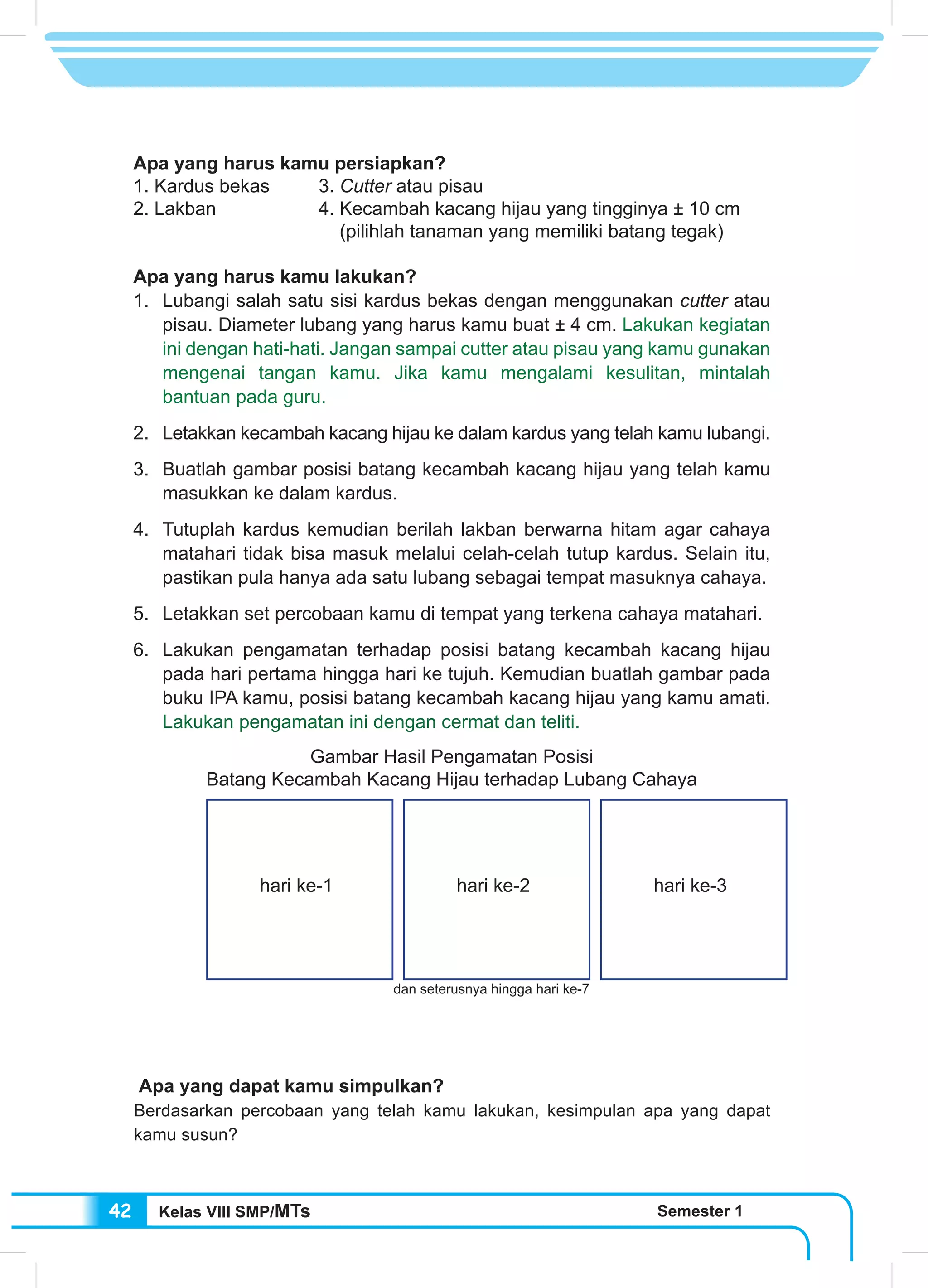 Kelas VIII SMP/MTs Semester 142
Apa yang harus kamu persiapkan?
1. Kardus bekas	 3. Cutter atau pisau
2. Lakban		 4. Kecambah kacang hijau yang tingginya ± 10 cm
			 (pilihlah tanaman yang memiliki batang tegak)
Apa yang harus kamu lakukan?
1.	 Lubangi salah satu sisi kardus bekas dengan menggunakan cutter atau
pisau. Diameter lubang yang harus kamu buat ± 4 cm. Lakukan kegiatan
ini dengan hati-hati. Jangan sampai cutter atau pisau yang kamu gunakan
mengenai tangan kamu. Jika kamu mengalami kesulitan, mintalah
bantuan pada guru.
2. 	 Letakkan kecambah kacang hijau ke dalam kardus yang telah kamu lubangi.
3. 	Buatlah gambar posisi batang kecambah kacang hijau yang telah kamu
masukkan ke dalam kardus.
4.	 Tutuplah kardus kemudian berilah lakban berwarna hitam agar cahaya
matahari tidak bisa masuk melalui celah-celah tutup kardus. Selain itu,
pastikan pula hanya ada satu lubang sebagai tempat masuknya cahaya.
5. 	 Letakkan set percobaan kamu di tempat yang terkena cahaya matahari.
6. 	Lakukan pengamatan terhadap posisi batang kecambah kacang hijau
pada hari pertama hingga hari ke tujuh. Kemudian buatlah gambar pada
buku IPA kamu, posisi batang kecambah kacang hijau yang kamu amati.
Lakukan pengamatan ini dengan cermat dan teliti.
Gambar Hasil Pengamatan Posisi
Batang Kecambah Kacang Hijau terhadap Lubang Cahaya
hari ke-1 hari ke-2 hari ke-3
dan seterusnya hingga hari ke-7
Apa yang dapat kamu simpulkan?
Berdasarkan percobaan yang telah kamu lakukan, kesimpulan apa yang dapat
kamu susun?
 