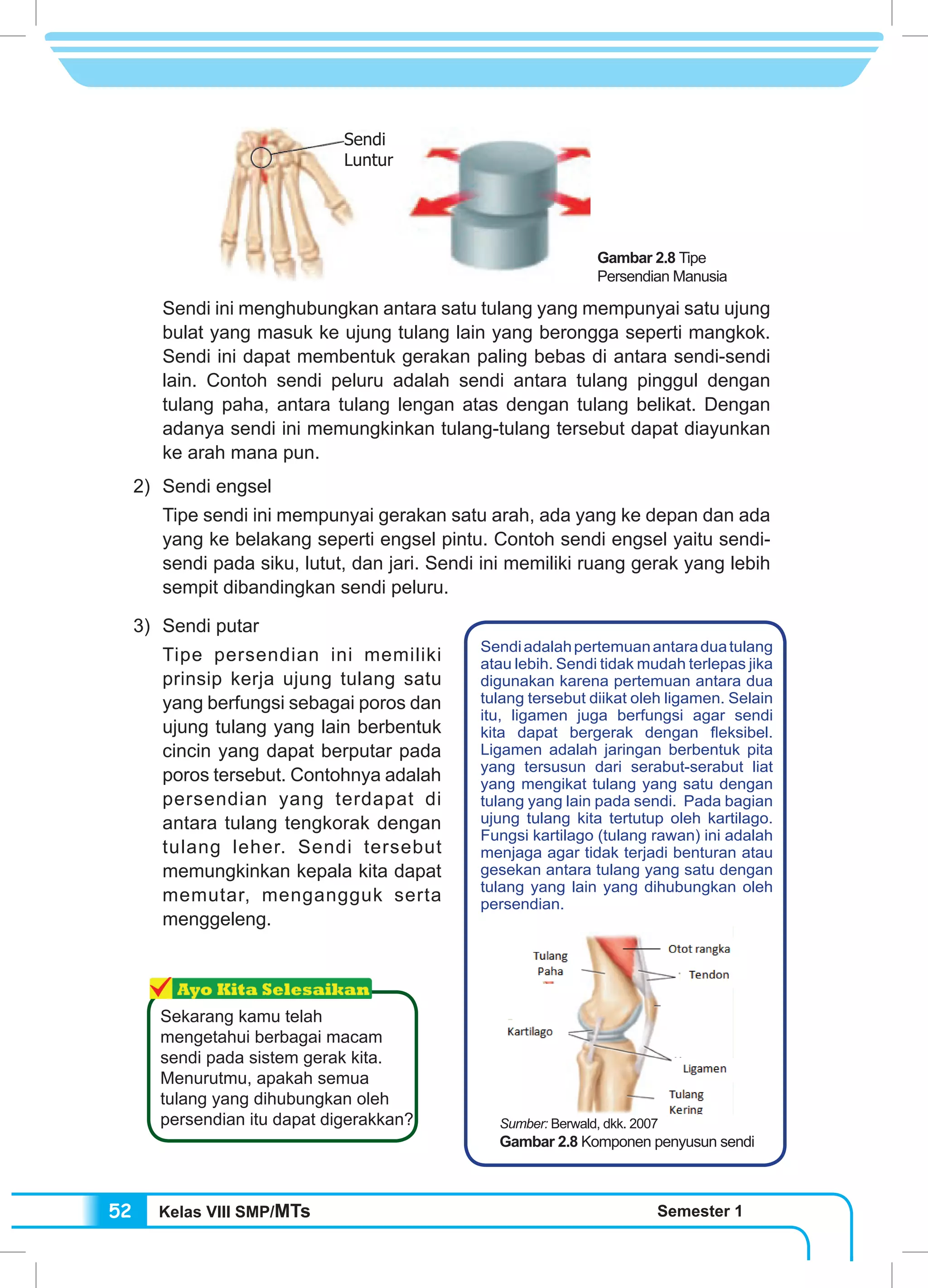 Kelas VIII SMP/MTs Semester 152
Sendi ini menghubungkan antara satu tulang yang mempunyai satu ujung
bulat yang masuk ke ujung tulang lain yang berongga seperti mangkok.
Sendi ini dapat membentuk gerakan paling bebas di antara sendi-sendi
lain. Contoh sendi peluru adalah sendi antara tulang pinggul dengan
tulang paha, antara tulang lengan atas dengan tulang belikat. Dengan
adanya sendi ini memungkinkan tulang-tulang tersebut dapat diayunkan
ke arah mana pun.
2) 	Sendi engsel
Tipe sendi ini mempunyai gerakan satu arah, ada yang ke depan dan ada
yang ke belakang seperti engsel pintu. Contoh sendi engsel yaitu sendi-
sendi pada siku, lutut, dan jari. Sendi ini memiliki ruang gerak yang lebih
sempit dibandingkan sendi peluru.
3) 	Sendi putar
Tipe persendian ini memiliki
prinsip kerja ujung tulang satu
yang berfungsi sebagai poros dan
ujung tulang yang lain berbentuk
cincin yang dapat berputar pada
poros tersebut. Contohnya adalah
persendian yang terdapat di
antara tulang tengkorak dengan
tulang leher. Sendi tersebut
memungkinkan kepala kita dapat
memutar, mengangguk serta
menggeleng.
Sendi
Luntur
Sekarang kamu telah
mengetahui berbagai macam
sendi pada sistem gerak kita.
Menurutmu, apakah semua
tulang yang dihubungkan oleh
persendian itu dapat digerakkan?
Sendiadalahpertemuanantaraduatulang
atau lebih. Sendi tidak mudah terlepas jika
digunakan karena pertemuan antara dua
tulang tersebut diikat oleh ligamen. Selain
itu, ligamen juga berfungsi agar sendi
kita dapat bergerak dengan fleksibel.
Ligamen adalah jaringan berbentuk pita
yang tersusun dari serabut-serabut liat
yang mengikat tulang yang satu dengan
tulang yang lain pada sendi. Pada bagian
ujung tulang kita tertutup oleh kartilago.
Fungsi kartilago (tulang rawan) ini adalah
menjaga agar tidak terjadi benturan atau
gesekan antara tulang yang satu dengan
tulang yang lain yang dihubungkan oleh
persendian.
Sumber: Berwald, dkk. 2007
Gambar 2.8 Komponen penyusun sendi
Gambar 2.8 Tipe
Persendian Manusia
 