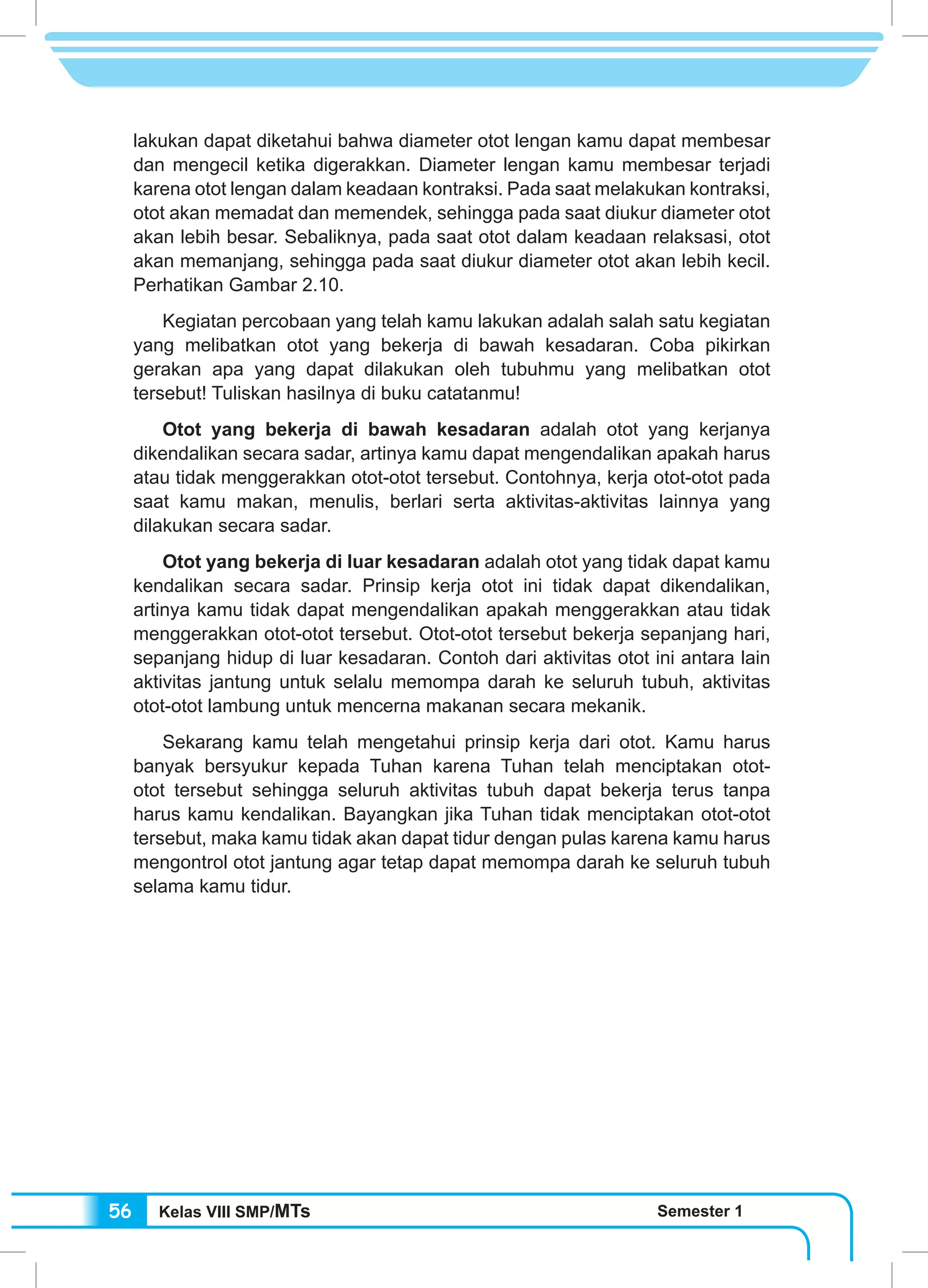 Kelas VIII SMP/MTs Semester 156
lakukan dapat diketahui bahwa diameter otot lengan kamu dapat membesar
dan mengecil ketika digerakkan. Diameter lengan kamu membesar terjadi
karena otot lengan dalam keadaan kontraksi. Pada saat melakukan kontraksi,
otot akan memadat dan memendek, sehingga pada saat diukur diameter otot
akan lebih besar. Sebaliknya, pada saat otot dalam keadaan relaksasi, otot
akan memanjang, sehingga pada saat diukur diameter otot akan lebih kecil.
Perhatikan Gambar 2.10.
	 Kegiatan percobaan yang telah kamu lakukan adalah salah satu kegiatan
yang melibatkan otot yang bekerja di bawah kesadaran. Coba pikirkan
gerakan apa yang dapat dilakukan oleh tubuhmu yang melibatkan otot
tersebut! Tuliskan hasilnya di buku catatanmu!
	 Otot yang bekerja di bawah kesadaran adalah otot yang kerjanya
dikendalikan secara sadar, artinya kamu dapat mengendalikan apakah harus
atau tidak menggerakkan otot-otot tersebut. Contohnya, kerja otot-otot pada
saat kamu makan, menulis, berlari serta aktivitas-aktivitas lainnya yang
dilakukan secara sadar.
	 Otot yang bekerja di luar kesadaran adalah otot yang tidak dapat kamu
kendalikan secara sadar. Prinsip kerja otot ini tidak dapat dikendalikan,
artinya kamu tidak dapat mengendalikan apakah menggerakkan atau tidak
menggerakkan otot-otot tersebut. Otot-otot tersebut bekerja sepanjang hari,
sepanjang hidup di luar kesadaran. Contoh dari aktivitas otot ini antara lain
aktivitas jantung untuk selalu memompa darah ke seluruh tubuh, aktivitas
otot-otot lambung untuk mencerna makanan secara mekanik.
	 Sekarang kamu telah mengetahui prinsip kerja dari otot. Kamu harus
banyak bersyukur kepada Tuhan karena Tuhan telah menciptakan otot-
otot tersebut sehingga seluruh aktivitas tubuh dapat bekerja terus tanpa
harus kamu kendalikan. Bayangkan jika Tuhan tidak menciptakan otot-otot
tersebut, maka kamu tidak akan dapat tidur dengan pulas karena kamu harus
mengontrol otot jantung agar tetap dapat memompa darah ke seluruh tubuh
selama kamu tidur.
 
