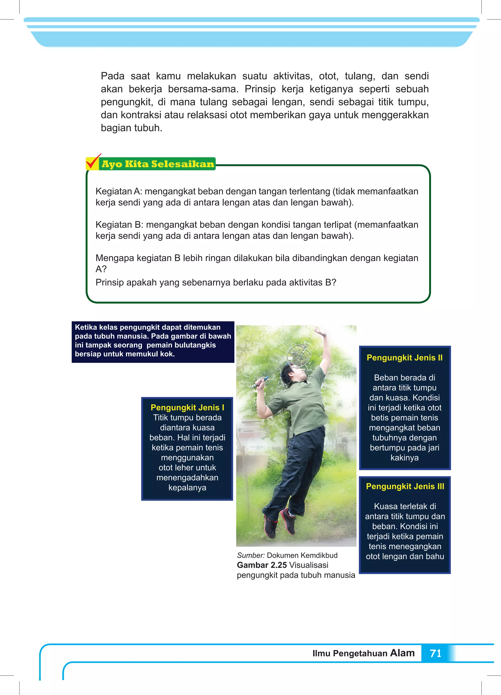 Ilmu Pengetahuan Alam 71
Pada saat kamu melakukan suatu aktivitas, otot, tulang, dan sendi
akan bekerja bersama-sama. Prinsip kerja ketiganya seperti sebuah
pengungkit, di mana tulang sebagai lengan, sendi sebagai titik tumpu,
dan kontraksi atau relaksasi otot memberikan gaya untuk menggerakkan
bagian tubuh.
Kegiatan A: mengangkat beban dengan tangan terlentang (tidak memanfaatkan
kerja sendi yang ada di antara lengan atas dan lengan bawah).
Kegiatan B: mengangkat beban dengan kondisi tangan terlipat (memanfaatkan
kerja sendi yang ada di antara lengan atas dan lengan bawah).
Mengapa kegiatan B lebih ringan dilakukan bila dibandingkan dengan kegiatan
A?
Prinsip apakah yang sebenarnya berlaku pada aktivitas B?
Sumber: Dokumen Kemdikbud
Gambar 2.25 Visualisasi
pengungkit pada tubuh manusia
Ketika kelas pengungkit dapat ditemukan
pada tubuh manusia. Pada gambar di bawah
ini tampak seorang pemain bulutangkis
bersiap untuk memukul kok.
Pengungkit Jenis I
Titik tumpu berada
diantara kuasa
beban. Hal ini terjadi
ketika pemain tenis
menggunakan
otot leher untuk
menengadahkan
kepalanya Pengungkit Jenis III
Kuasa terletak di
antara titik tumpu dan
beban. Kondisi ini
terjadi ketika pemain
tenis menegangkan
otot lengan dan bahu
Pengungkit Jenis II
Beban berada di
antara titik tumpu
dan kuasa. Kondisi
ini terjadi ketika otot
betis pemain tenis
mengangkat beban
tubuhnya dengan
bertumpu pada jari
kakinya
 