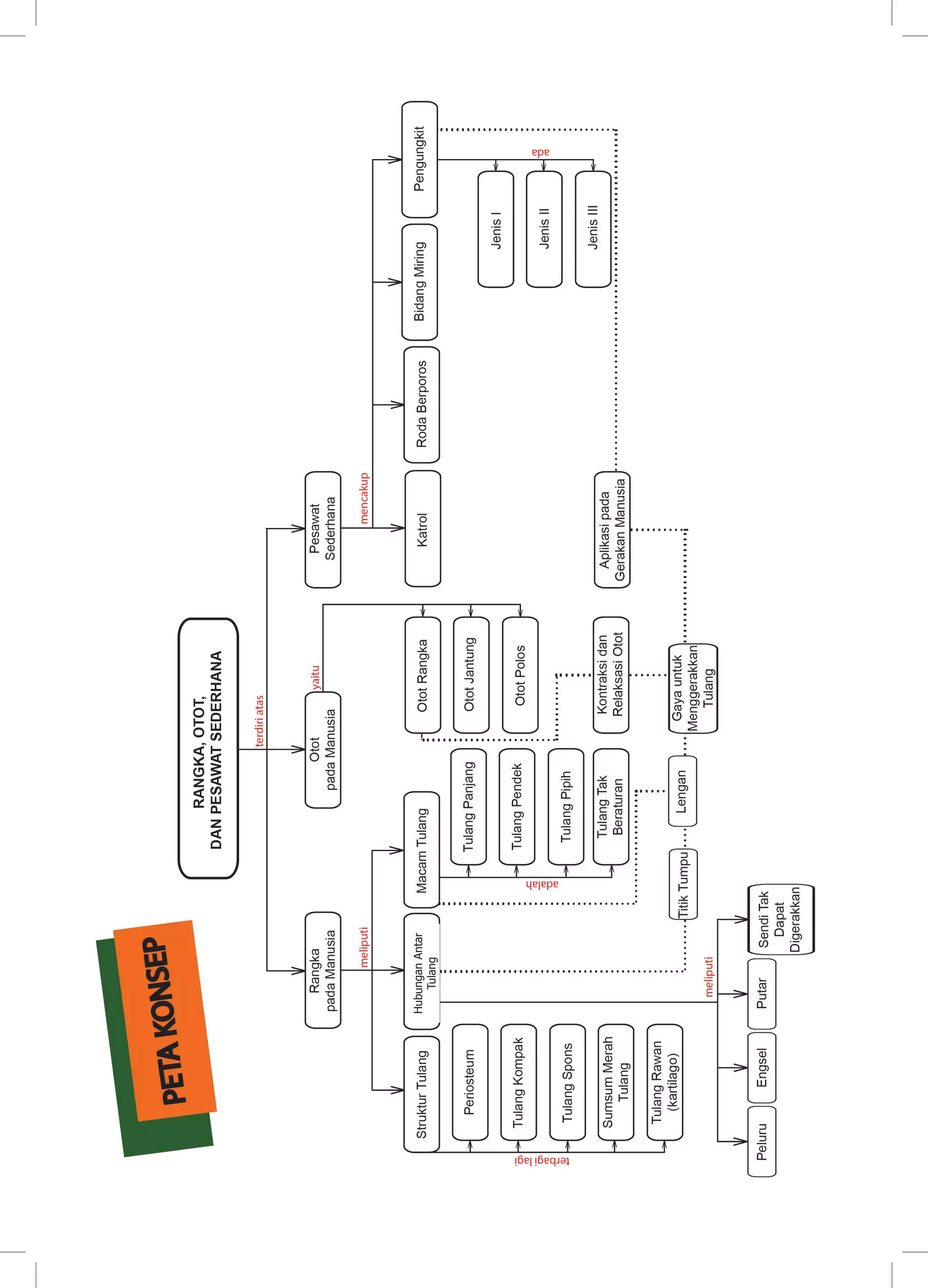HubunganAntar
Tulang
 