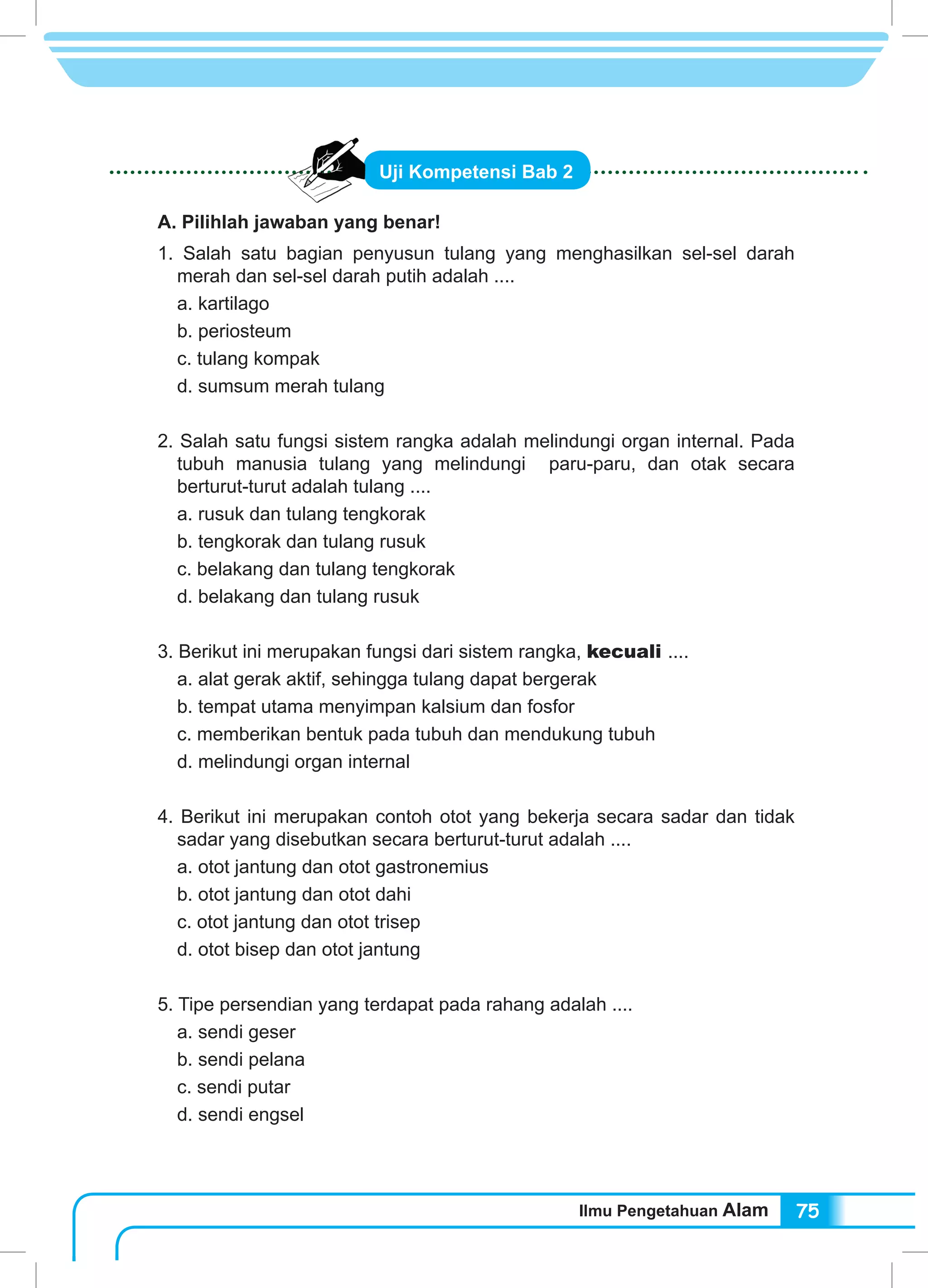 Ilmu Pengetahuan Alam 75
Uji Kompetensi Bab 2
A. Pilihlah jawaban yang benar!
1. Salah satu bagian penyusun tulang yang menghasilkan sel-sel darah
merah dan sel-sel darah putih adalah ....
a. kartilago
b. periosteum
c. tulang kompak
d. sumsum merah tulang
2. Salah satu fungsi sistem rangka adalah melindungi organ internal. Pada
tubuh manusia tulang yang melindungi paru-paru, dan otak secara
berturut-turut adalah tulang ....
a. rusuk dan tulang tengkorak
b. tengkorak dan tulang rusuk
c. belakang dan tulang tengkorak
d. belakang dan tulang rusuk
3. Berikut ini merupakan fungsi dari sistem rangka, kecuali ....
a. alat gerak aktif, sehingga tulang dapat bergerak
b. tempat utama menyimpan kalsium dan fosfor
c. memberikan bentuk pada tubuh dan mendukung tubuh
d. melindungi organ internal
4. Berikut ini merupakan contoh otot yang bekerja secara sadar dan tidak
sadar yang disebutkan secara berturut-turut adalah ....
a. otot jantung dan otot gastronemius
b. otot jantung dan otot dahi
c. otot jantung dan otot trisep
d. otot bisep dan otot jantung
5. Tipe persendian yang terdapat pada rahang adalah ....
a. sendi geser
b. sendi pelana
c. sendi putar
d. sendi engsel
 