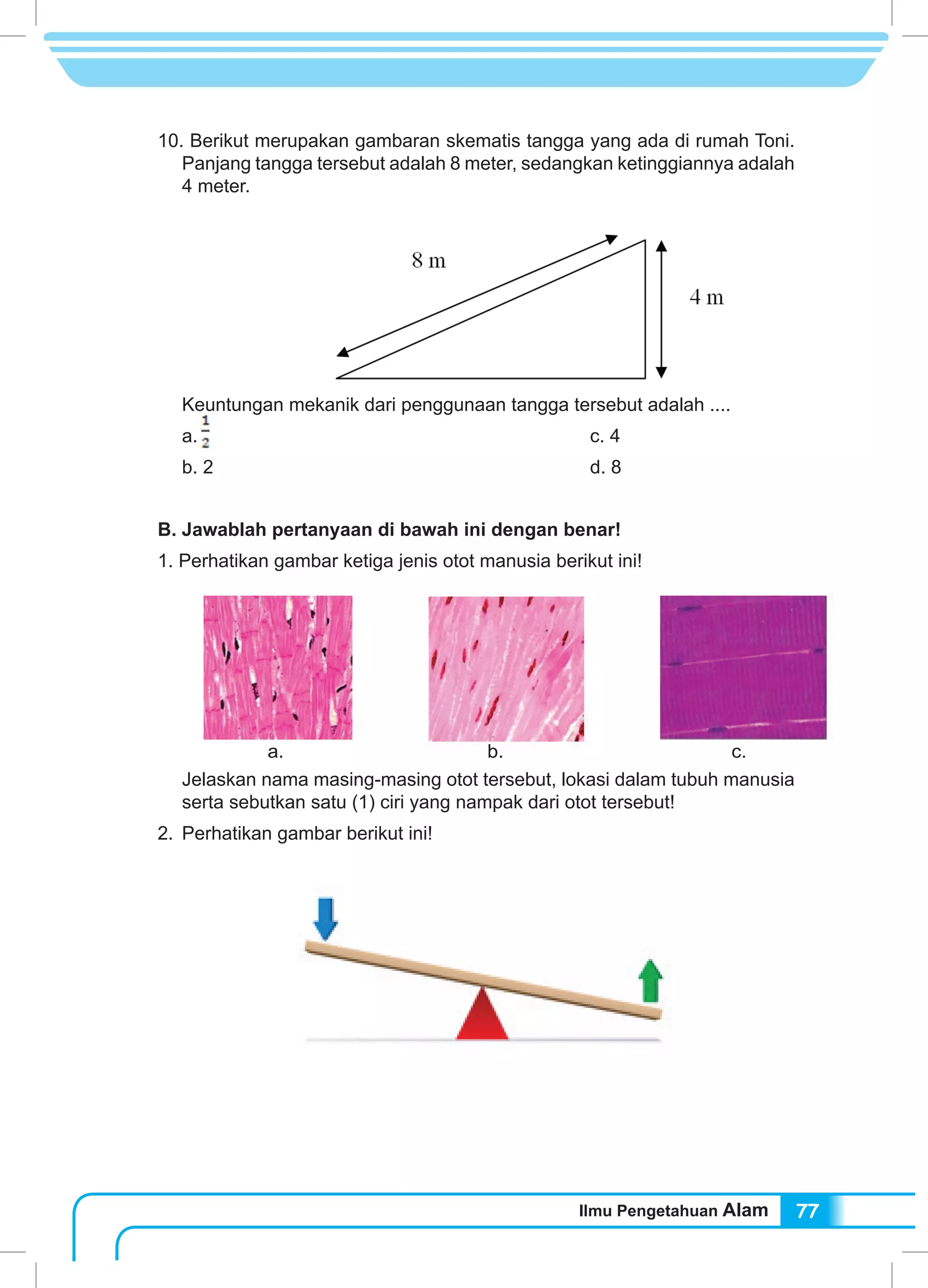 Ilmu Pengetahuan Alam 77
10. Berikut merupakan gambaran skematis tangga yang ada di rumah Toni.
Panjang tangga tersebut adalah 8 meter, sedangkan ketinggiannya adalah
4 meter.
	 Keuntungan mekanik dari penggunaan tangga tersebut adalah ....
a. 						c. 4
b. 2 							d. 8
B. Jawablah pertanyaan di bawah ini dengan benar!
1. Perhatikan gambar ketiga jenis otot manusia berikut ini!
Jelaskan nama masing-masing otot tersebut, lokasi dalam tubuh manusia
serta sebutkan satu (1) ciri yang nampak dari otot tersebut!
2.	 Perhatikan gambar berikut ini!
a. b. c.
 