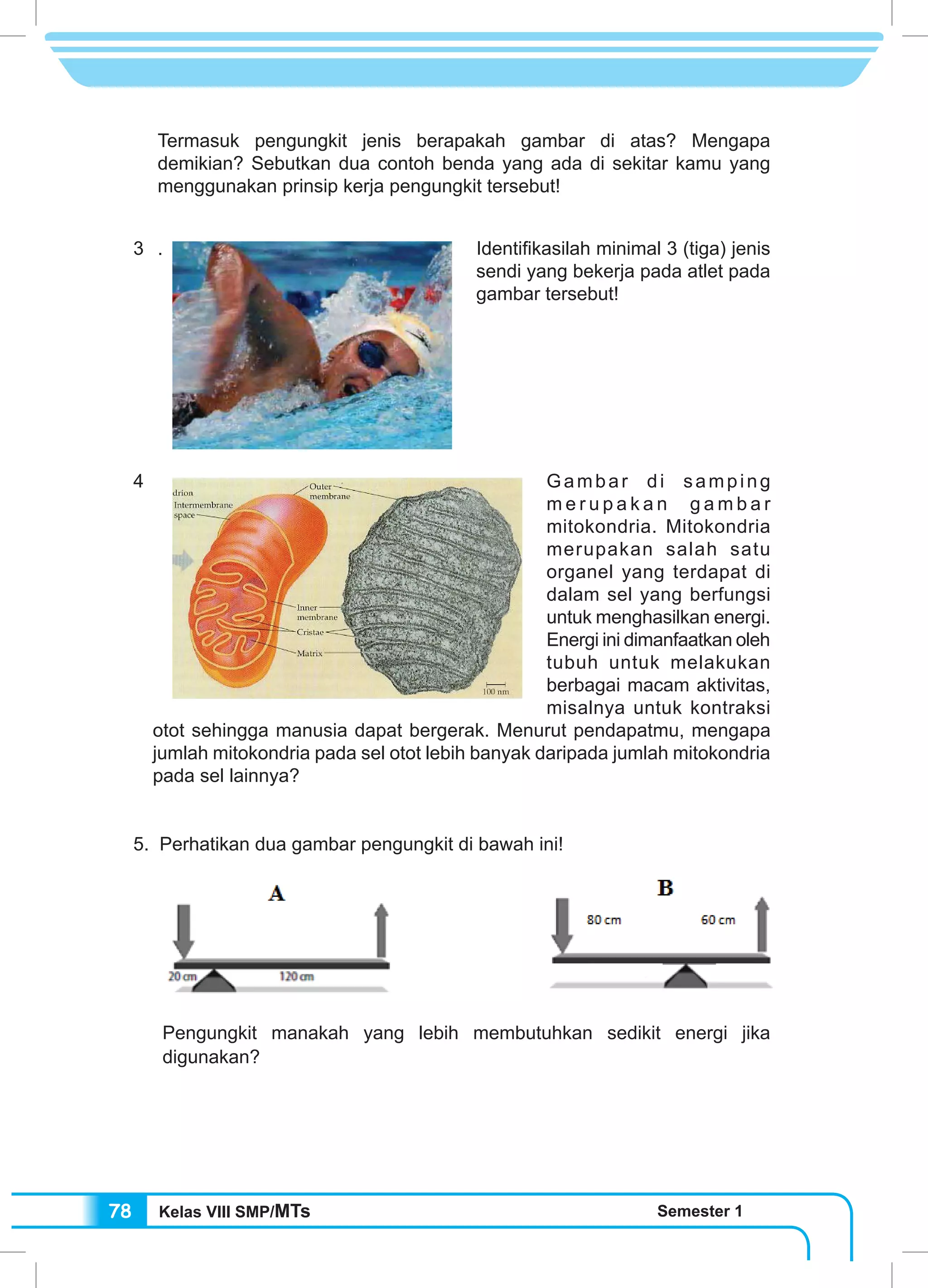Kelas VIII SMP/MTs Semester 178
Termasuk pengungkit jenis berapakah gambar di atas? Mengapa
demikian? Sebutkan dua contoh benda yang ada di sekitar kamu yang
menggunakan prinsip kerja pengungkit tersebut!
3 . Identifikasilah minimal 3 (tiga) jenis
sendi yang bekerja pada atlet pada
gambar tersebut!
4 	 Gambar di samping
m e r u p a k a n g a m b a r
mitokondria. Mitokondria
merupakan salah satu
organel yang terdapat di
dalam sel yang berfungsi
untuk menghasilkan energi.
Energi ini dimanfaatkan oleh
tubuh untuk melakukan
berbagai macam aktivitas,
misalnya untuk kontraksi
otot sehingga manusia dapat bergerak. Menurut pendapatmu, mengapa
jumlah mitokondria pada sel otot lebih banyak daripada jumlah mitokondria
pada sel lainnya?
5. Perhatikan dua gambar pengungkit di bawah ini!
Pengungkit manakah yang lebih membutuhkan sedikit energi jika
digunakan?
 