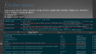 kube-proxy는 호스트 상에서 네트워크 규칙을 유지하고 연결에 대한 포워딩을 수행함으로서 쿠버네티스
서비스 추상화가 가능하도록 해준다.
1) DaemonSet
2) DaemonSet도 Pod다
 