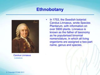 © Copyright PCNM 2011
Ethnobotany
• In 1753, the Swedish botanist
Carolus Linnaeus, wrote Species
Plantarum, with information on
over 5900 plants. Linnaeus is
known as the father of taxonomy
as he popularised binomial
nomenclature, in which all living
organisms are assigned a two-part
name, genus and species.
Carolus Linnaeus
en.wikipedia.org
 