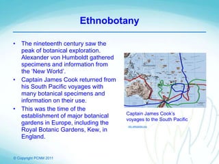 © Copyright PCNM 2011
Ethnobotany
• The nineteenth century saw the
peak of botanical exploration.
Alexander von Humboldt gathered
specimens and information from
the ‘New World’.
• Captain James Cook returned from
his South Pacific voyages with
many botanical specimens and
information on their use.
• This was the time of the
establishment of major botanical
gardens in Europe, including the
Royal Botanic Gardens, Kew, in
England.
Captain James Cook’s
voyages to the South Pacific
vec.wikipedia.org
 