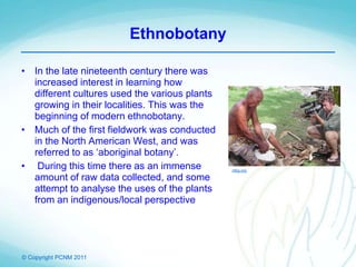 © Copyright PCNM 2011
Ethnobotany
• In the late nineteenth century there was
increased interest in learning how
different cultures used the various plants
growing in their localities. This was the
beginning of modern ethnobotany.
• Much of the first fieldwork was conducted
in the North American West, and was
referred to as ‘aboriginal botany’.
• During this time there as an immense
amount of raw data collected, and some
attempt to analyse the uses of the plants
from an indigenous/local perspective
ntbg.org
 
