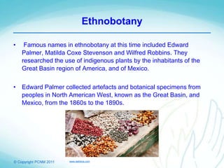 © Copyright PCNM 2011
Ethnobotany
• Famous names in ethnobotany at this time included Edward
Palmer, Matilda Coxe Stevenson and Wilfred Robbins. They
researched the use of indigenous plants by the inhabitants of the
Great Basin region of America, and of Mexico.
• Edward Palmer collected artefacts and botanical specimens from
peoples in North American West, known as the Great Basin, and
Mexico, from the 1860s to the 1890s.
www.dailykos.com
 