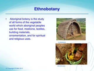 © Copyright PCNM 2011
Ethnobotany
• Aboriginal botany is the study
of all forms of the vegetable
world which aboriginal peoples
use for food, medicine, textiles,
building materials,
ornamentation, and for spiritual
and religious uses.
en.wikipedia.org
www.etwa.org.au
 