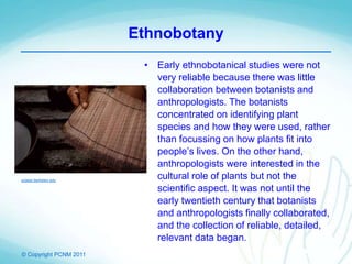 © Copyright PCNM 2011
Ethnobotany
• Early ethnobotanical studies were not
very reliable because there was little
collaboration between botanists and
anthropologists. The botanists
concentrated on identifying plant
species and how they were used, rather
than focussing on how plants fit into
people’s lives. On the other hand,
anthropologists were interested in the
cultural role of plants but not the
scientific aspect. It was not until the
early twentieth century that botanists
and anthropologists finally collaborated,
and the collection of reliable, detailed,
relevant data began.
ucjeps.berkeley.edu
 