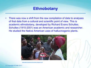 © Copyright PCNM 2011
Ethnobotany
• There was now a shift from the raw compilation of data to analyses
of that data from a cultural and scientific point of view. This is
academic ethnobotany, developed by Richard Evans Schultes.
Schultes (1915-2001) was an American academic and researcher.
He studied the Native American uses of hallucinogenic plants.
kwekudee-tripdownmemorylane.blogspot.com
 