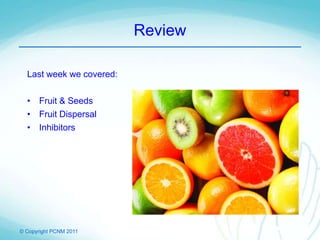 © Copyright PCNM 2011
Review
Last week we covered:
• Fruit & Seeds
• Fruit Dispersal
• Inhibitors
 