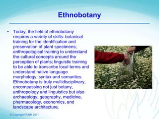 © Copyright PCNM 2011
Ethnobotany
• Today, the field of ethnobotany
requires a variety of skills: botanical
training for the identification and
preservation of plant specimens;
anthropological training to understand
the cultural concepts around the
perception of plants; linguistic training
to be able to transcribe local terms and
understand native language
morphology, syntax and semantics.
Ethnobotany is truly multidisciplinary,
encompassing not just botany,
anthropology and linguistics but also
archaeology, geography, medicine,
pharmacology, economics, and
landscape architecture.
 