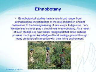© Copyright PCNM 2011
Ethnobotany
• Ethnobotanical studies have a very broad range, from
archaeological investigations of the role of plants in ancient
civilisations to the bioengineering of new crops. Indigenous, non-
Westernised cultures play a crucial role in ethnobotany. As a result
of such studies it is now widely recognised that these cultures
possess much great knowledge of local ecology gained through
many centuries of interaction with their living environment.
 